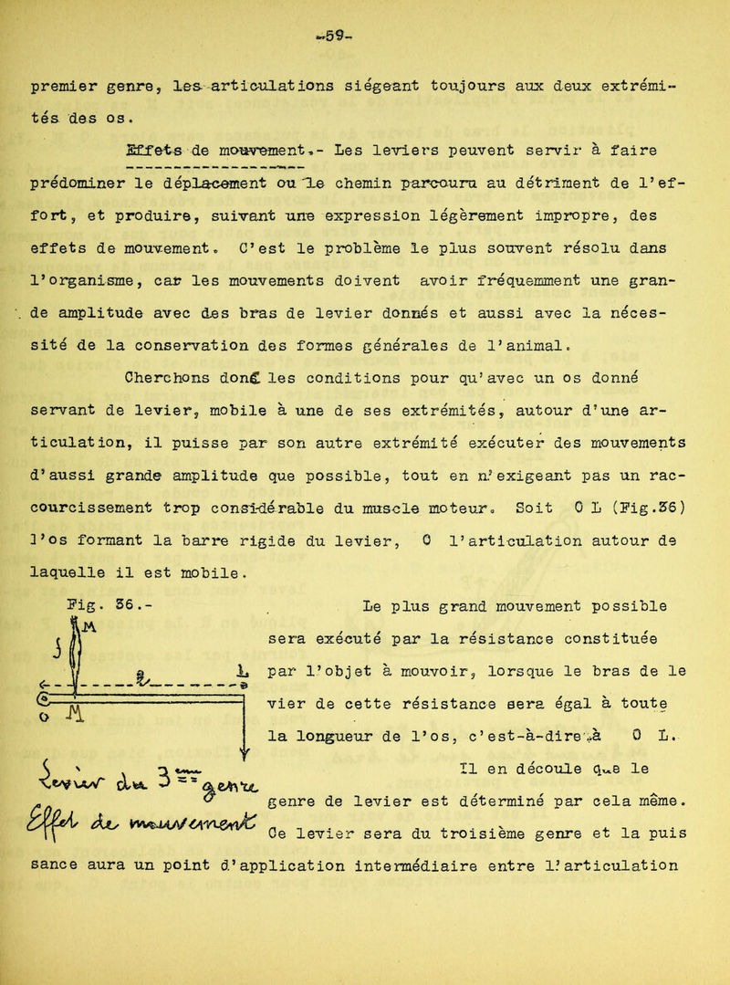 69- premier genre, les-articulations siégeant toujours aux deux extrémi- tés des os. Effets de mouvement»- les leviers peuvent servir à faire prédominer le déplacement ou'le chemin parcouru au détriment de l’ef- fort, et produire, suivant une expression légèrement impropre, des effets de mouvement» C’est le problème le plus souvent résolu dans l’organisme, car les mouvements doivent avoir fréquemment une gran- de amplitude avec les bras de levier donnés et aussi avec la néces- sité de la conservation des formes générales de l’animal. Cherchons donC les conditions pour qu’avec un os donné servant de levier, mobile à une de ses extrémités, autour d’une ar- ticulation, il puisse par son autre extrémité exécuter des mouvements d’aussi grand© amplitude que possible, tout en n’exigeant pas un rac- courcissement trop considérable du muscle moteur» Soit 0 L (Fig. 56) 3’os formant la barre rigide du levier, 0 l’articulation autour de Le plus grand mouvement possible sera exécuté par la résistance constituée par l’objet à mouvoir, lorsque le bras de le vier de cette résistance sera égal à toute la longueur de l’os, c’est-à-dire«à 0 L. laquelle il est mobile 3 Fig. 56.- (S •fi Î1 en découle q^e le cK&y VvusMSs/ OfA&ïdC genre de levier est déterminé par cela même. Ce levier sera du troisième genre et la puis sance aura un point d’application intermédiaire entre 1.’articulation