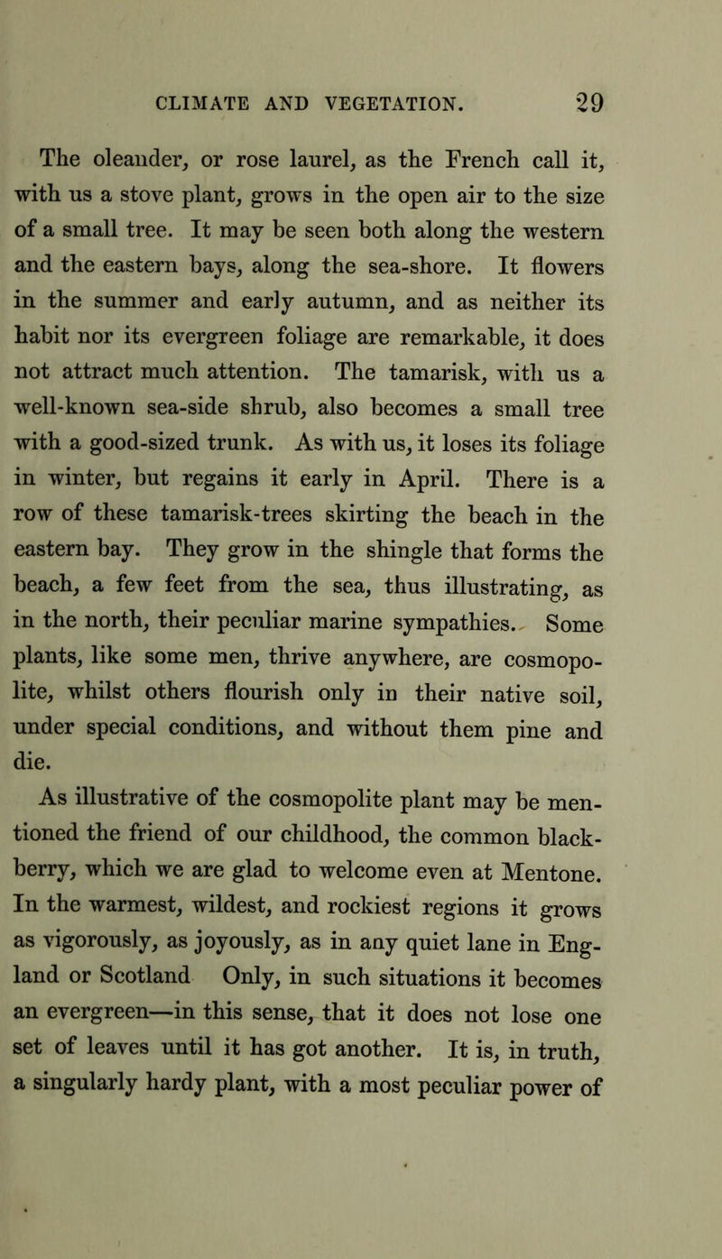 The oleander, or rose laurel, as the French call it, with us a stove plant, grows in the open air to the size of a small tree. It may be seen both along the western and the eastern bays, along the sea-shore. It flowers in the summer and early autumn, and as neither its habit nor its evergreen foliage are remarkable, it does not attract much attention. The tamarisk, with us a well-known sea-side shrub, also becomes a small tree with a good-sized trunk. As with us, it loses its foliage in winter, but regains it early in April. There is a row of these tamarisk-trees skirting the beach in the eastern bay. They grow in the shingle that forms the beach, a few feet from the sea, thus illustrating, as in the north, their peculiar marine sympathies. Some plants, like some men, thrive anywhere, are cosmopo- lite, whilst others flourish only in their native soil, under special conditions, and without them pine and die. As illustrative of the cosmopolite plant may be men- tioned the friend of our childhood, the common black- berry, which we are glad to welcome even at Mentone. In the warmest, wildest, and rockiest regions it grows as vigorously, as joyously, as in any quiet lane in Eng- land or Scotland Only, in such situations it becomes an evergreen—in this sense, that it does not lose one set of leaves until it has got another. It is, in truth, a singularly hardy plant, with a most peculiar power of