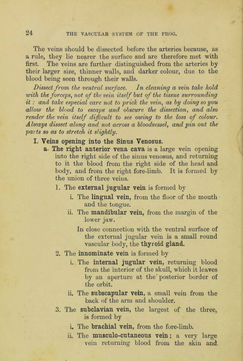 The veins should be dissected before the arteries because, as a rule, they lie nearer the surface and are therefore met with first. The veins are further distinguished from the arteries by their larger size, thinner walls, and darker colour, due to the blood being seen through their walls. Dissect from the ventral surface. In cleaning a vein take hold with the forceps, not of the vein itself but of the tissue surrounding it : and take especial care not to prick the vein, as by doing so you allow the blood to escape and obscure the dissection, and also render the vein itself difficult to see owing to the loss of colour. Always dissect along and not across a bloodvessel, and pin out the parts so as to stretch it slightly. I. Veins opening into the Sinus Venosns. a- The right anterior vena cava is a large vein opening into the right side of the sinus venosus, and returning to it the blood from the right side of the head and body, and from the right fore-limb. It is formed by the union of three veins. 1. The external jugular vein is formed by i. The lingual vein, from the floor of the mouth and the tongue. ii. The mandibular vein, from the margin of the lower jaw. In close connection with the ventral surface of the external jugular vein is a small round vascular body, the thyroid gland. 2. The innominate vein is formed by i. The internal jugular vein, returning blood from the interior of the skull, which it leaves by an aperture at the' posterior border of the orbit. ii. The subscapular vein, a small vein from the back of the arm and shoulder. 3. The subclavian vein, the largest of the three, is formed by i. The brachial vein, from the fore-limb. ii. The musculo-cutaneous vein; a very large vein returning blood from the skin and.
