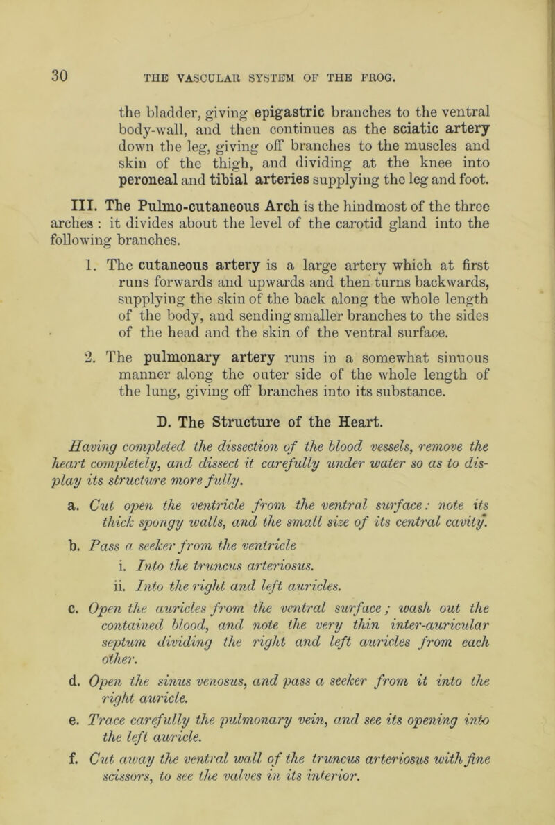 the bladder, giving epigastric branches to the ventral body-wall, and then continues as the sciatic artery down the leg, giving off branches to the muscles and skin of the thigh, and dividing at the knee into peroneal and tibial arteries supplying the leg and foot. III. The Pulmo-cntaneons Arch is the hindmost of the three arches : it divides about the level of the carotid gland into the following branches. 1. The cutaneous artery is a large artery which at first runs forwards and upwards and then turns backwards, supplying the skin of the back along the whole length of the body, and sending smaller branches to the sides of the head and the skin of the ventral surface. 2. The pulmonary artery runs in a somewhat sinuous manner along the outer side of the whole length of the lung, giving off branches into its substance. D. The Structure of the Heart. Having completed the dissection of the blood vessels, remove the heart completely, and dissect it carefully under water so as to dis- play its structure more f ully. a. Cut open the ventricle from the ventral surface: note its thick spongy walls, and the small size of its central cavity. b. Pass a seeker from the ventricle i. Into the truncus arteriosus. ii. Into the right and left auricles. C. Open the auricles from the ventral surface; wash out the contained blood, and note the very thin inter-auricular septum dividing the right and left auricles from each other. d. Open the sinus venosus, and pass a seeker from it into the right auricle. e. Trace carefully the pulmonary vein, and see its opening into the left auricle. f. Cut away the ventral wall of the truncus arteriosus with fine scissors, to see the valves in its interior.