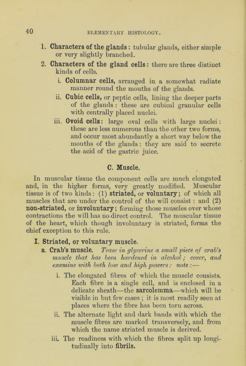 1. Characters of the glands : tubular glands, either simple or very slightly branched. 2. Characters of the gland cells : there are three distinct kinds of cells. i. Columnar cells, arranged in a somewhat radiate manner round the mouths of the glands. ii. Cubic cells, or peptic cells, lining the deeper parts of the glands : these are cubical granular cells with centrally placed nuclei. iii. Ovoid cells: large oval cells with large nuclei: these are less numerous than the other two forms, and occur most abundantly a short way below the mouths of the glands: they are said to secrete the acid of the gastric juice. C. Muscle. i In muscular tissue the component cells are much elongated and, in the higher forms, very greatly modified. Muscular tissue is of two kinds: (1) striated, or voluntary; of which all muscles that are under the control of the will consist : and (2) non-striated, or involuntary; forming those muscles over whose contractions the will has no direct control. The muscular tissue of the heart, which though involuntary is striated, forms the chief exception to this rule. I. Striated, or voluntary muscle. a. Crab’s muscle. Tease in glycerine a small piece of crab’s muscle that has been hardened in alcohol; cover, and examine with both low and high poivcrs: note :— i. The elongated fibres of which the muscld consists. Each fibre is a single cell, and is enclosed in a delicate sheath—the sarcolemma—which will be visible in but few cases ; it is most readily seen at places where the fibre has been torn across, ii. The alternate light and dark bands with which the muscle fibres are mai'ked transversely, and from which the name striated muscle is derived, iii. The readiness with which the fibres split up longi- tudinally into fibrils.