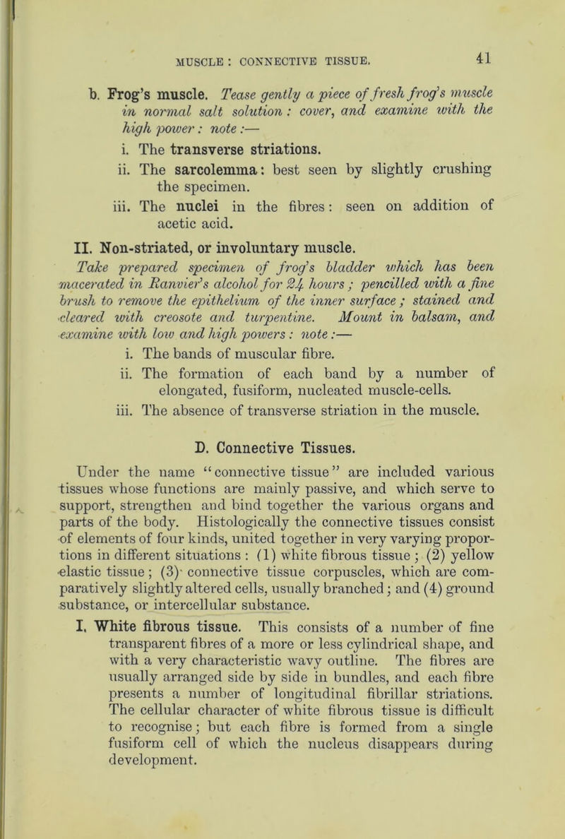MUSCLE : CONNECTIVE TISSUE, b. Frog’s muscle. Tease gently a piece of fresh frog's muscle in normal salt solution : cover, and examine with the high power: note :— i. The transverse striations. ii. The sarcolemma: best seen by slightly crushing the specimen. iii. The nuclei in the fibres: seen on addition of acetic acid. II. Non-striated, or involuntary muscle. Take prepared specimen of frog's bladder which has been macerated in Ranvier’s alcohol for hours ; pencilled with a fine brush to remove the epithelium of the inner surface ; stained and ■cleared with creosote and turpentine. Mount in balsam, and examine with low and high poivers : note :— i. The bands of muscular fibre. ii. The formation of each band by a number of elongated, fusiform, nucleated muscle-cells. iii. The absence of transverse striation in the muscle. D. Connective Tissues. Under the name “ connective tissue ” are included various tissues whose functions are mainly passive, and which serve to support, strengthen and bind together the various organs and parts of the body. Histologically the connective tissues consist of elements of four kinds, united together in very varying propor- tions in different situations : (1) white fibrous tissue ; (2) yellow •elastic tissue ; (3)- connective tissue corpuscles, which are com- paratively slightly altered cells, usually branched; and (4) ground substance, or intercellular substance. I, White fibrous tissue. This consists of a number of fine transparent fibres of a more or less cylindrical shape, and with a very characteristic wavy outline. The fibres are usually arranged side by side in bundles, and each fibre presents a number of longitudinal fibrillar striations. The cellular character of white fibrous tissue is difficult to recognise; but each fibre is formed from a single fusiform cell of which the nucleus disappears during development.