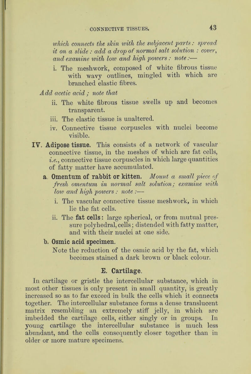 CONNECTIVE TISSUES. which connects the shin with the subjacent parts : spread it on a slide : add a drop of normal salt solution : cover, and examine with low and high powers : note:— i. The meshwork, composed of white fibrous tissue with wavy outlines, mingled with which are branched elastic fibres. A del acetic acid ; note that ii. The white fibrous tissue swells up and becomes transparent. iii. The elastic tissue is unaltered. iv. Connective tissue corpuscles with nuclei become visible. IV. Adipose tissue. This consists of a network of vascular connective tissue, in the meshes of which are fat cells, i.e., connective tissue corpuscles in which large quantities of fatty matter have accumulated. a. Omentum of rabbit or kitten. Mount a small piece of fresh omentum in normal salt solution; examine ivith low and high powers : note :— i. The vascular connective tissue meshwork, in which lie the fat cells. ii. The fat cells: large spherical, or from mutual pres- sure polyhedral,cells; distended with fatty matter, and with their nuclei at one side. b. Osmic acid specimen. Note the reduction of the osmic acid by the fat, which becomes stained a dark brown or black colour. E. Cartilage. In cartilage or gristle the intercellular substance, which in most other tissues is only present in small quantity, is greatly increased so as to far exceed in bulk the cells which it connects together. The intercellular substance forms a dense translucent matrix resembling an extremely stiff jelly, in which are imbedded the cartilage cells, either singly or in groups. In young cartilage the intercellular substance is much less abundant, and the cells consequently closer together than in older or more mature specimens.