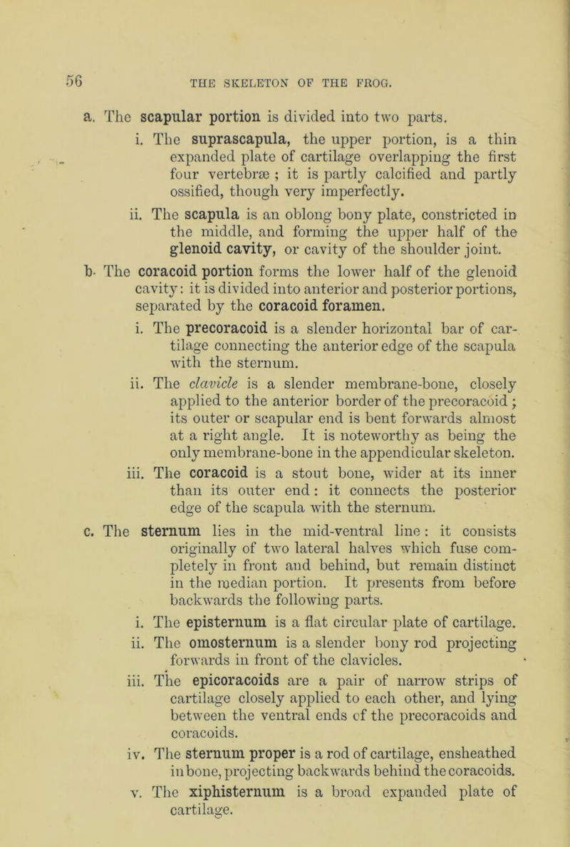 a. The scapular portion is divided into two parts. i. The suprascapula, the upper portion, is a thin expanded plate of cartilage overlapping the first four vertebrae ; it is partly calcified and partly ossified, though very imperfectly. ii. The scapula is an oblong bony plate, constricted in the middle, and forming the upper half of the glenoid cavity, or cavity of the shoulder joint. b- The coracoid portion forms the lower half of the glenoid cavity: it is divided into anterior and posterior portions, separated by the coracoid foramen. i. The precoracoid is a slender horizontal bar of car- tilage connecting the anterior edge of the scapula with the sternum. ii. The clavicle is a slender membrane-bone, closely applied to the anterior border of the precoracoid; its outer or scapular end is bent forwards almost at a right angle. It is noteworthy as being the only membrane-bone in the appendicular skeleton. iii. The coracoid is a stout bone, wider at its inner than its outer end: it connects the posterior edge of the scapula with the sternum. c. The sternum lies in the mid-ventral line: it consists originally of two lateral halves which fuse com- pletely in front and behind, but remain distinct in the median portion. It presents from before backwards the following parts. i. The episternum is a flat circular plate of cartilage. ii. The omosternum is a slender bony rod projecting forwards in front of the clavicles. iii. The epicoracoids are a pair of narrow strips of cartilage closely applied to each other, and lying between the ventral ends cf the precoracoids and coracoids. iv. The sternum proper is a rod of cartilage, ensheathed in bone, projecting backwards behind the coracoids. v. The xiphisternum is a broad expanded plate of cartilage.