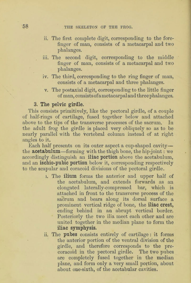 ii. The first complete digit, corresponding to the fore- finger of man, consists of a metacarpal and two phalanges. iii. The second digit, corresponding to the middle finger of man, consists of a metacarpal and two phalanges. iv. The third, corresponding to the ring finger of man, consists of a metacarpal and three phalanges. y. The postaxial digit, corresponding to the little finger of man, consists of a metacarpal and three phalanges. 3. The pelvic girdle. This consists primitively, like the pectoral girdle, of a couple of half-rings of cartilage, fused together below and attached above to the tips of the transverse processes of the sacrum. In the adult frog the girdle is placed very obliquely so as to be nearly parallel with the vertebral column instead of at right angles to it. Each half presents on its outer aspect a cup-shaped cavity— the acetabulum—forming with the thigh bone, the hip-joint: we accordingly distinguish an iliac portion above the acetabulum, and an ischio-pubic portion below it, corresponding respectively to the scapular and coracoid divisions of the pectoral girdle. i. The ilium forms the antei’ior and upper half of the acetabulum, and extends forwards as an elongated laterally-compressed bar, -which is attached in front to the transverse process of the sacrum and bears along its dorsal surface a prominent vertical ridge of bone, the iliac crest, ending behind in an abrupt vertical border. Posteriorly the two ilia meet each other and are united together in the median plane to form the iliac symphysis. ii. The pubes consists entirely of cartilage : it forms the anterior portion of the ventral division of the girdle, and therefore corresponds to the pre- coracoid in the pectoral girdle. The two pubes are completely fused together in the median plane, and form only a very small portion, about about one-sixth, of the acetabular cavities.