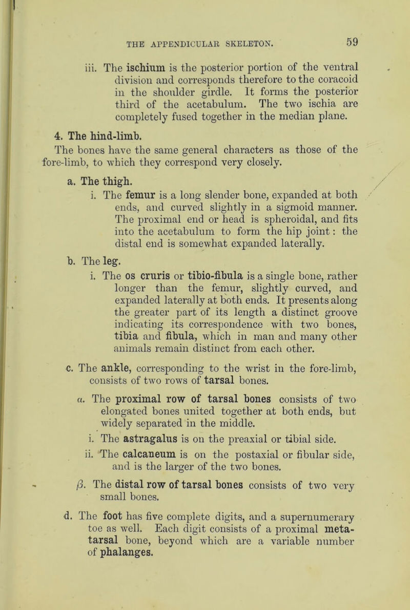 iii. The ischium is the posterior portion of the ventral division and corresponds therefore to the coracoid in the shoulder girdle. It forms the posterior third of the acetabulum. The two ischia are completely fused together in the median plane. 4. The hind-limb. The bones have the same general characters as those of the fore-limb, to which they correspond very closely. a. The thigh. i. The femur is a long slender bone, expanded at both ends, and curved slightly in a sigmoid manner. The proximal end or head is spheroidal, and fits into the acetabulum to form the hip joint: the distal end is somewhat expanded laterally. b. The leg. i. The os cruris or tibio-fibula is a single bone, rather longer than the femur, slightly curved, and expanded laterally at both ends. It presents along the greater part of its length a distinct groove indicating its correspondence with two bones, tibia and fibula, which in man and many other animals remain distinct from each other. c. The ankle, corresponding to the wrist in the fore-limb, consists of two rows of tarsal bones. «. The proximal row of tarsal bones consists of two elongated bones united together at both ends, but widely separated in the middle. i. The astragalus is on the preaxial or tibial side. ii. The calcaneum is on the postaxial or fibular side, and is the larger of the two bones. /3. The distal row of tarsal bones consists of two very small bones. d. The foot has five complete digits, and a supernumerary toe as well. Each digit consists of a proximal meta- tarsal bone, beyond which are a variable number of phalanges.