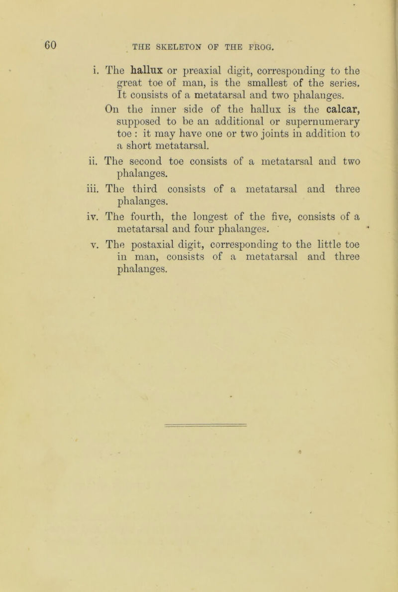 CO i. The hallux or preaxial digit, corresponding to the great toe of man, is the smallest of the series. It consists of a metatarsal and two phalanges. On the inner side of the hallux is the calcar, supposed to be an additional or supernumerary toe : it may have one or two joints in addition to a short metatarsal. ii. The second toe consists of a metatarsal and two phalanges. iii. The thii’d consists of a metatarsal and three phalanges. iv. The fourth, the longest of the five, consists of a metatarsal and four phalanges. v. The postaxial digit, corresponding to the little toe in man, consists of a metatarsal and thi’ee phalanges.