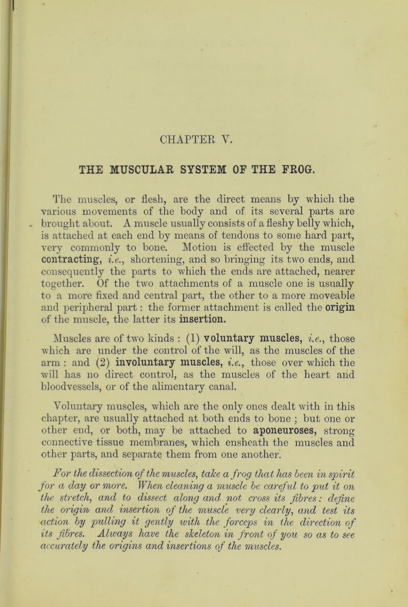 CHAPTER V. THE MUSCULAR SYSTEM OF THE FROG. The muscles, or flesh, are the direct means by which the various movements of the body and of its several parts are brought about. A muscle usually consists of a fleshy belly which, is attached at each end by means of tendons to some hard part, very commonly to bone. Motion is effected by the muscle contracting, i.e., shortening, and so bringing its two ends, and consequently the parts to which the ends are attached, nearer together. Of the two attachments of a muscle one is usually to a more fixed and central part, the other to a more moveable and peripheral part: the former attachment is called the origin of the muscle, the latter its insertion. Muscles are of two kinds : (1) voluntary muscles, i.e., those which are under the control of the will, as the muscles of the arm : and (2) involuntary muscles, i.e., those over which the will has no direct control, as the muscles of the heart and bloodvessels, or of the alimentary canal. Voluntary muscles, which are the only ones dealt with in this chapter, are usually attached at both ends to bone ; but one or other end, or both, may be attached to aponeuroses, strong connective tissue membranes, which ensheath the muscles and other parts, and separate them from one another. For the dissection of the muscles, take a frog that has been in spirit for a day or more. When cleaning a muscle be careful to put it on tire stretch, and to dissect along and not cross its fibres: define the origin and insertion of the muscle very clearly, and test its action by pulling it gently with the forceps in the direction of its fibres. Always have the skeleton in front of you so as to see accurately the origins and insertions of the muscles.