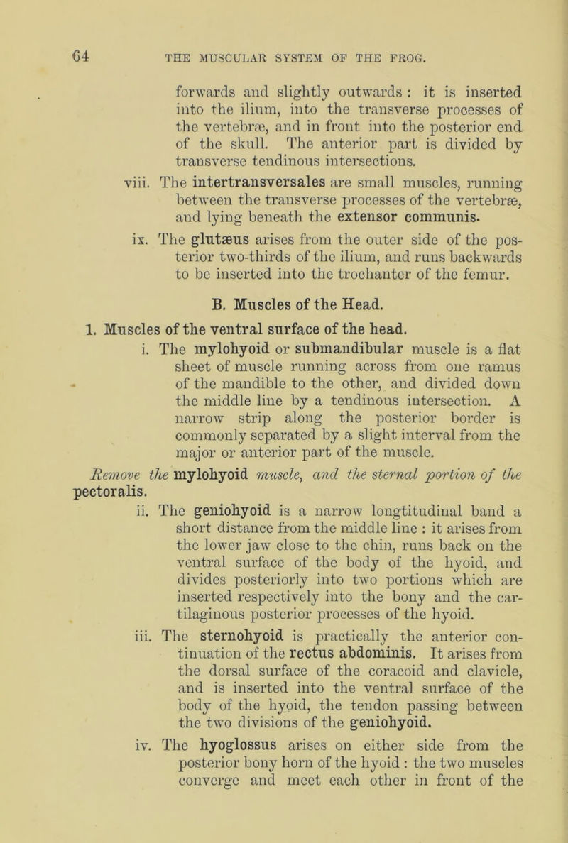 04 forwards and slightly outwards : it is inserted into the ilium, into the transverse processes of the vertebra), and in front into the posterior end of the skull. The anterior part is divided by transverse tendinous intersections. viii. The intertransversales are small muscles, running between the transverse processes of the vertebne, and lying beneath the extensor communis. ix. The glutaeus arises from the outer side of the pos- terior two-thirds of the ilium, and runs backwards to be inserted into the trochanter of the femur. B. Muscles of the Head. 1. Muscles of the ventral surface of the head. i. The mylohyoid or submandibular muscle is a flat sheet of muscle running across from one ramus of the mandible to the other, and divided down the middle line by a tendinous intersection. A narrow strip along the posterior border is commonly separated by a slight interval from the major or anterior part of the muscle. Remove the mylohyoid muscle, and the sternal portion of the pectoralis. ii. The geniohyoid is a narrow longtitudinal band a short distance from the middle line : it arises from the lower jaw close to the chin, runs back on the ventral surface of the body of the hyoid, and divides posteriorly into two portions which are inserted respectively into the bony and the car- tilaginous posterior processes of the hyoid. iii. The sternohyoid is practically the anterior con- tinuation of the rectus abdominis. It arises from the dorsal surface of the coracoid and clavicle, and is inserted into the ventral surface of the body of the hyoid, the tendon passing between the two divisions of the geniohyoid. iv. The hyoglossus arises on either side from the posterior bony horn of the hyoid : the two muscles converge and meet each other in front of the