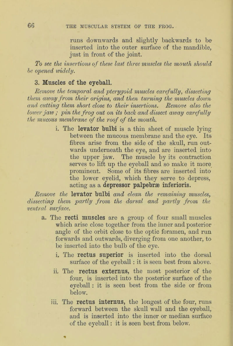 GG runs downwards and slightly backwards to be inserted into the outer surface of the mandible, just in front of the joint. To see the insertions of these last three muscles the mouth should he opened widely. 3. Muscles of the eyeball. Remove the temporal and pterygoid muscles carefully, dissecting them away from their origins, and then turning the muscles down and cutting them short close to their insertions. Remove also the lower jaw ; pin the frog out on its hack and dissect away carefidly the mucous membrane of the roof of the mouth. i. The levator bulbi is a thin sheet of muscle lying between the mucous membrane and the eye. Its fibres arise from the side of the skull, run out- wards underneath the eye, and are inserted into the upper jaw. The muscle by its contraction serves to lift up the eyeball and so make it more prominent. Some of its fibres are inserted into the lower eyelid, which they serve to depress, acting as a depressor palpebrae iiiferioris. Remove the levator bulbi and clean the remaining muscles, dissecting them partly from the dorsal and partly from the ventral surface. a. The recti muscles are a group of four small muscles which arise close together from the inner and posterior angle of the orbit close to the optic foramen, and run forwards and outwards, diverging from one another, to be inserted into the bulb of the eye. i. The rectus superior is inserted into the dorsal surface of the eyeball: it is seen best from above. ii. The rectus externus, the most posterior of the four, is inserted into the posterior surface of the eyeball: it is seen best from the side or from below. iii. The rectus internus, the longest of the four, runs forward between the skull wall and the eyeball, aud is inserted into the inner or median surface of the eyeball: it is seen best from below.