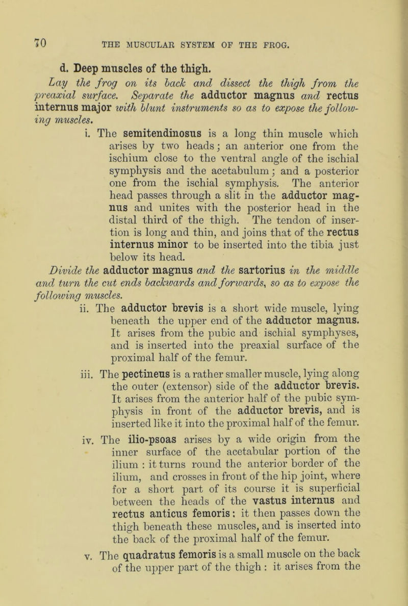 d. Deep muscles of the thigh. Lay the frog on its back and dissect the thigh from the preaxial surface. Separate the adductor magnus and rectus internus major ivith blunt instruments so as to expose the follow- ing muscles. i. The semitendinosus is a long thin muscle which arises by two heads; an anterior one from the ischium close to the ventral angle of the ischial symphysis and the acetabulum; and a posterior one from the ischial symphysis. The anterior head passes through a slit in the adductor mag- nus and unites with the posterior head in the distal third of the thigh. The tendon of inser- tion is long and thin, and joins that of the rectus internus minor to be inserted into the tibia just below its head. Divide the adductor magnus and the sartorius in the middle and turn the cut ends backwards and forwards, so as to expose the following muscles. ii. The adductor brevis is a short wide muscle, lying beneath the upper end of the adductor magnus. It arises from the pubic and ischial symphyses, and is inserted into the preaxial surface of the proximal half of the femur. iii. The pectineus is a rather smaller muscle, lying along the outer (extensor) side of the adductor brevis. It arises from the anterior half of the pubic sym- physis in front of the adductor brevis, and is inserted like it into the proximal half of the femur. iv. The ilio-psoas arises by a wide origin from the inner surface of the acetabular portion of the ilium : it turns round the anterior border of the ilium, and crosses in front of the hip joint, where for a short part of its course it is superficial between the heads of the vastus internus and rectus anticus femoris: it then passes down the thigh beneath these muscles, and is inserted into the back of the proximal half of the femur. v. The quadratus femoris is a small muscle on the back of the upper part of the thigh : it arises from the