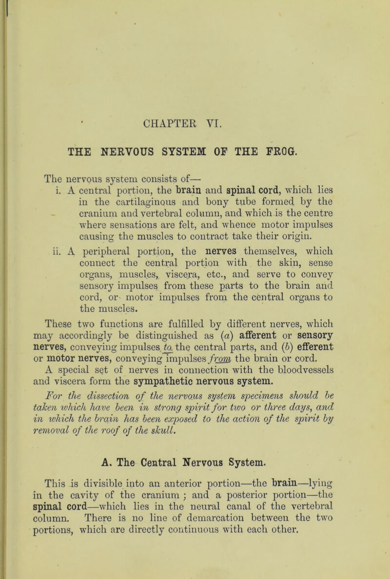 CHAPTER VI. THE NERVOUS SYSTEM OF THE FROG. The nervous system consists of— i. A central portion, the brain and spinal cord, which lies in the cartilaginous and bony tube formed by the cranium and vertebral column, and which is the centre where sensations are felt, and whence motor impulses causing the muscles to contract take their origin. ii. A peripheral portion, the nerves themselves, which connect the central portion with the skin, sense organs, muscles, viscera, etc., and serve to convey sensory impulses from these parts to the brain and cord, or motor impulses from the central organs to the muscles. These two functions are fulfilled by different nerves, which may accordingly be distinguished as (a) afferent or sensory nerves, conveying impulses, to. the central parts, and (b) efferent or motor nerves, conveying impulses from the brain or cord. A special set of nerves in connection with the bloodvessels and viscera form the sympathetic nervous system. For the dissection of the nervous system specimens should be taken which have been in strong spirit for two or three days, and in which the brain has been exposed to the action of the spirit by removal of the roof of the skull. A. The Central Nervous System. This is divisible into an anterior portion—the brain—lying in the cavity of the cranium ; and a posterior portion—the spinal cord—which lies in the neural canal of the vertebral column. There is no line of demarcation between the two portions, which are directly continuous with each other.