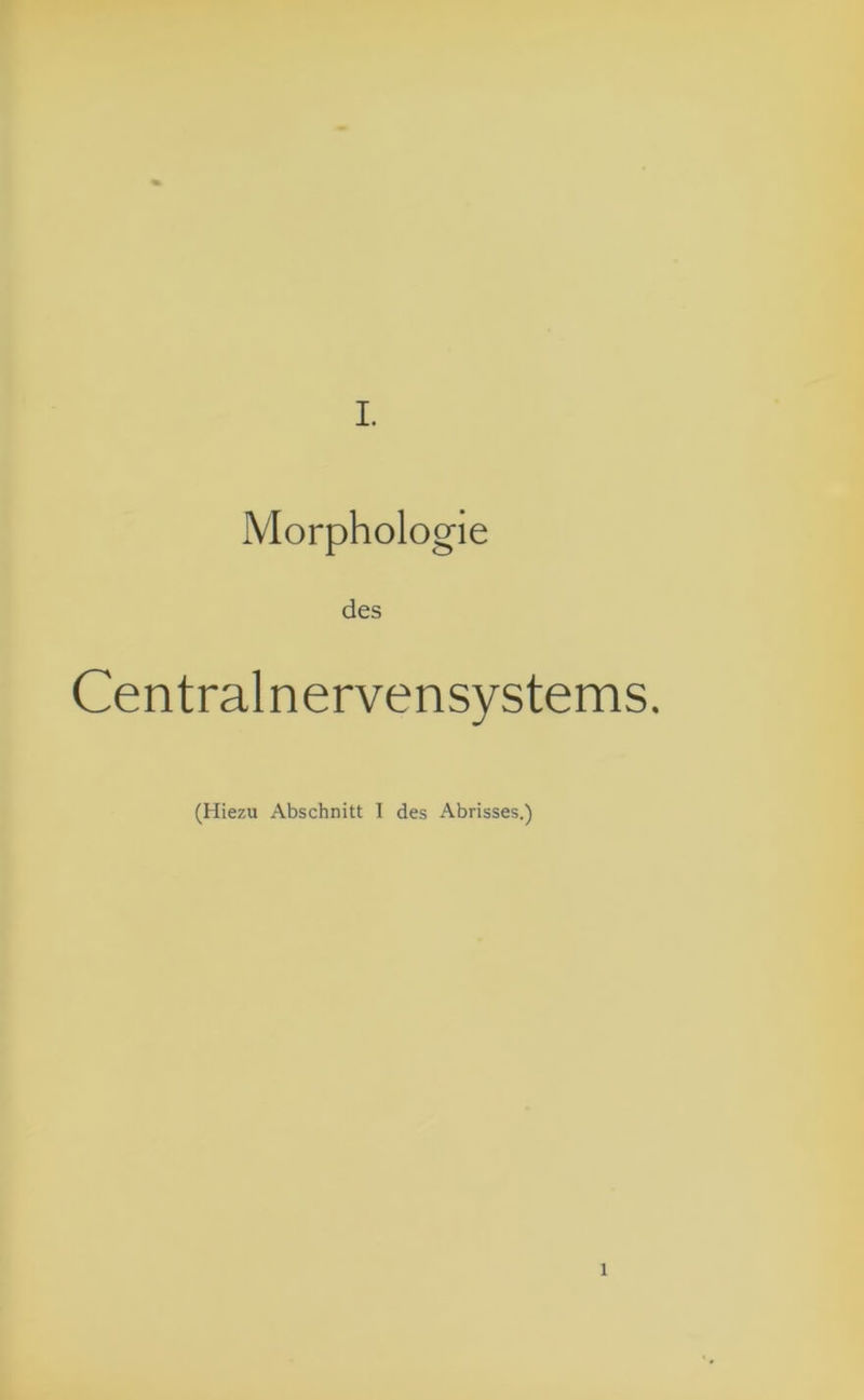 Morphologie des Centralnervensystems. (Hiezu Abschnitt I des Abrisses.)