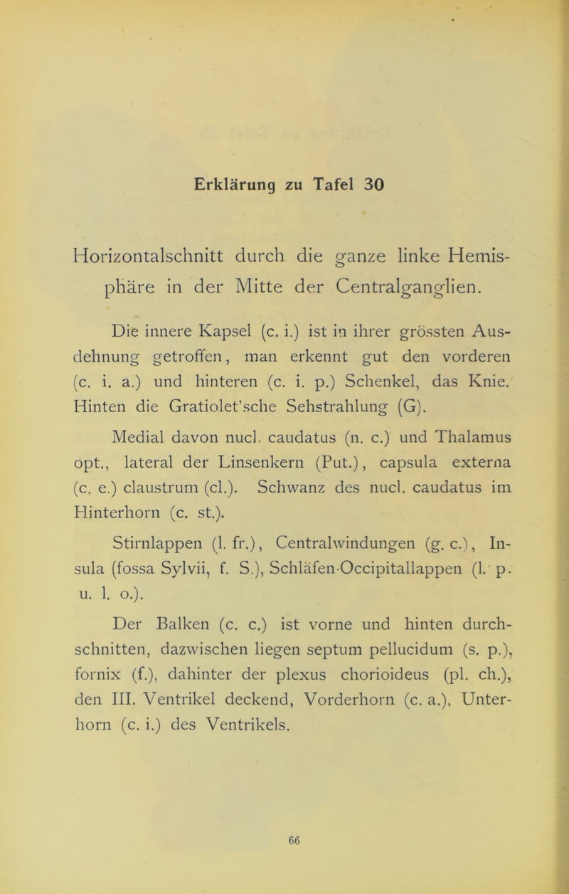 Horizontalschnitt durch die Q^anze linke Hemis- phäre in der Mitte der Centralganglien. Die innere Kapsel (c. i.) ist in ihrer grössten Aus- dehnung getroffen, man erkennt gut den vorderen (c. i. a.) und hinteren (c. i. p.) Schenkel, das Knie. Hinten die Gratiolet’sche Sehstrahlung (G). Medial davon nucl. caudatus (n. c.) und Thalamus opt., lateral der Linsenkern (Put.), capsula externa (c. e.) claustrum (cl.). Schwanz des nucl. caudatus im Hinterhorn (c. st.), Stirnlappen (1. fr.), Centralwindungen (g. c.), In- sula (fossa Sylvii, f. S.), Schläfen-Occipitallappen (1. p. u. 1. o.). Der Balken (c. c.) ist vorne und hinten durch- schnitten, dazwischen liegen septum pellucidum (s. p.), fornix (f.), dahinter der plexus chorioideus (pl. ch.), den III. Ventrikel deckend, Vorderhorn (c. a.), Unter- horn (c. i.) des Ventrikels. 66