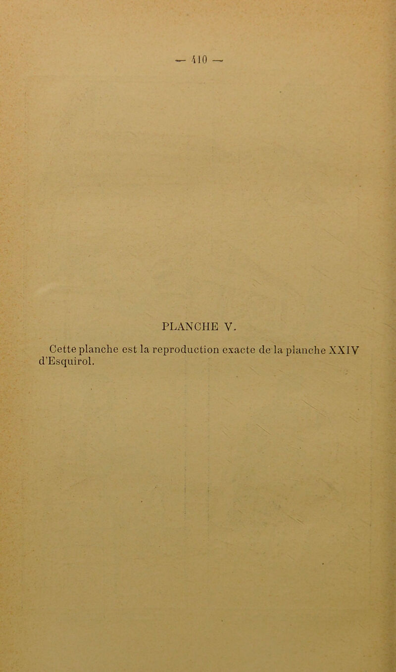 PLANCHE V. Cette planche est la reproduction exacte de la planche XXIV d’Esquirol.