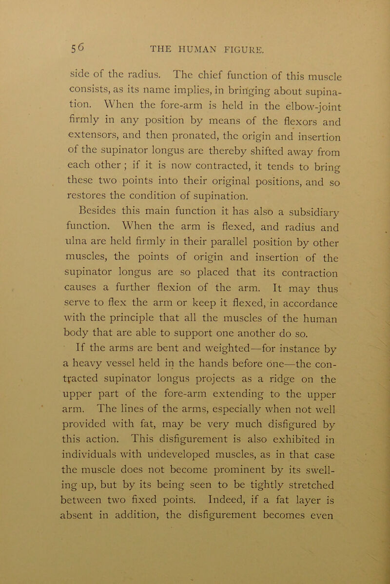 side of the radius. The chief function of this muscle consists, as its name implies, in bringing about supina- tion. When the fore-arm is held in the elbow-joint firmly in any position by means of the flexors and extensors, and then pronated, the origin and insertion of the supinator longus are thereby shifted away from each other ; if it is now contracted, it tends to bring these two points into their original positions, and so restores the condition of supination. Besides this main function it has also a subsidiary function. When the arm is flexed, and radius and ulna are held firmly in their parallel position by other muscles, the points of origin and insertion of the supinator longus are so placed that its contraction causes a further flexion of the arm. It may thus serve to flex the arm or keep it flexed, in accordance with the principle that all the muscles of the human body that are able to support one another do so. If the arms are bent and weighted—for instance by a heavy vessel held in the hands before one—the con- tfacted supinator longus projects as a ridge on the upper part of the fore-arm extending to the upper arm. The lines of the arms, especially when not well provided with fat, may be very much disfigured by this action. This disfigurement is also exhibited in individuals with undeveloped muscles, as in that case the muscle does not become prominent by its swell- ing up, but by its being seen to be tightly stretched between two fixed points. Indeed, if a fat layer is absent in addition, the disfigurement becomes even