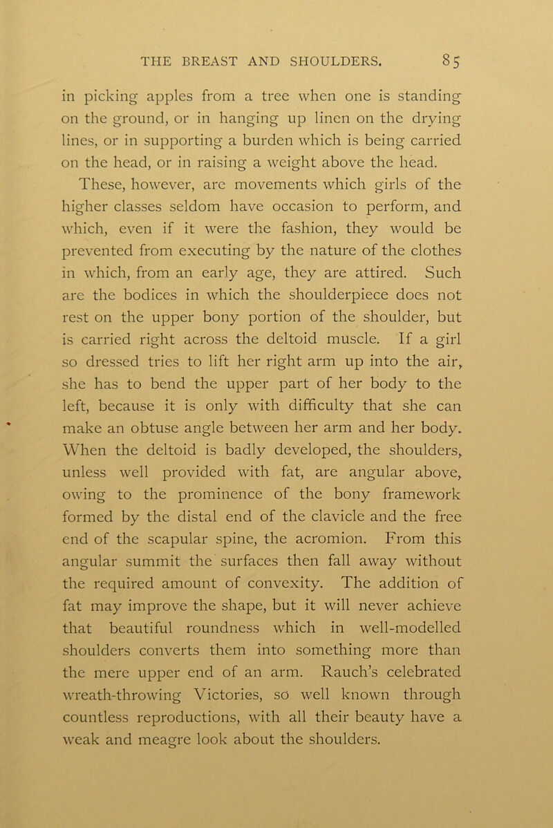 in picking apples from a tree when one is standing on the ground, or in hanging up linen on the drying lines, or in supporting a burden which is being carried on the head, or in raising a weight above the head. These, however, are movements which girls of the higher classes seldom have occasion to perform, and vliich, even if it were the fashion, they would be prevented from executing by the nature of the clothes in which, from an early age, they are attired. Such are the bodices in which the shoulderpiece does not rest on the upper bony portion of the shoulder, but is carried right across the deltoid muscle. If a girl so dressed tries to lift her right arm up into the air, she has to bend the upper part of her body to the left, because it is only with difficulty that she can make an obtuse angle between her arm and her body. When the deltoid is badly developed, the shoulders, unless well provided with fat, are angular above, owing to the prominence of the bony framework formed by the distal end of the clavicle and the free end of the scapular spine, the acromion. From this angular summit the surfaces then fall away without the required amount of convexity. The addition of fat may improve the shape, but it will never achieve that beautiful roundness which in well-modelled shoulders converts them into something more than the mere upper end of an arm. Rauch’s celebrated wreath-throwing Victories, so well known through countless reproductions, with all their beauty have a weak and meagre look about the shoulders.