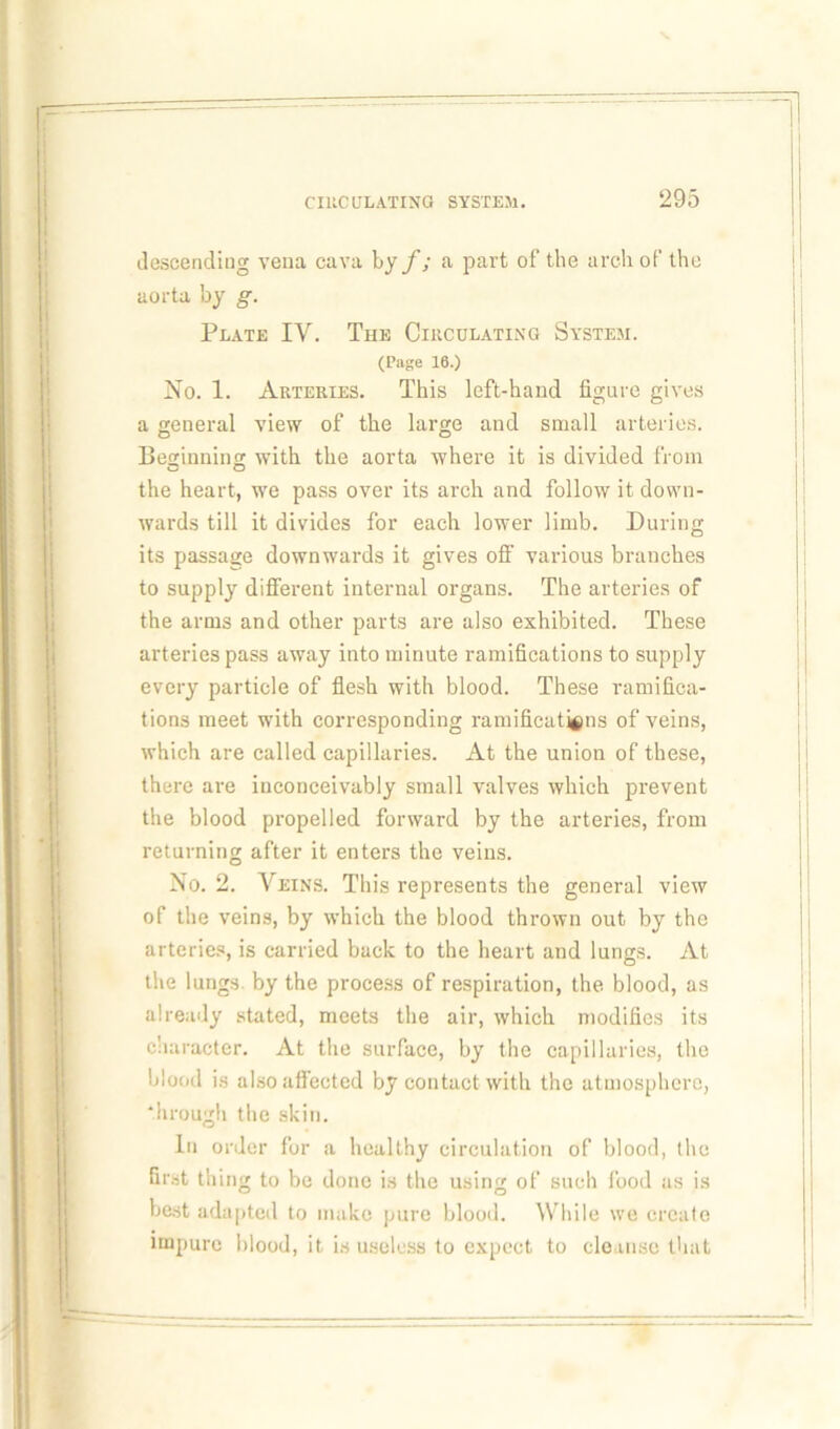 descending vena cava by f; a part of the arch of the aorta by g. Plate IV. The Circulating System. (Page 16.) No. 1. Arteries. This left-hand figure gives a general view of the large and small arteries. Beginning with the aorta where it is divided from the heart, we pass over its arch and follow it down- wards till it divides for each lower limb. During its passage downwards it gives off various branches to supply different internal organs. The arteries of the arms and other parts are also exhibited. These arteries pass away into minute ramifications to supply every particle of flesh with blood. These ramifica- tions meet with corresponding ramifications of veins, which are called capillaries. At the union of these, there are inconceivably small valves which prevent the blood propelled forward by the arteries, from returning after it enters the veins. No. 2. Veins. This represents the general view of the veins, by which the blood thrown out by the arteries, is carried back to the heart and lungs. At the lungs by the process of respiration, the blood, as already stated, meets the air, which modifies its character. At the surface, by the capillaries, the blood is also affected by contact with the atmosphere, through the skin. In order for a healthy circulation of blood, the first thing to be done is the using of such food as is best adapted to make pure blood. While we create impure blood, it is useless to expect to cleanse that