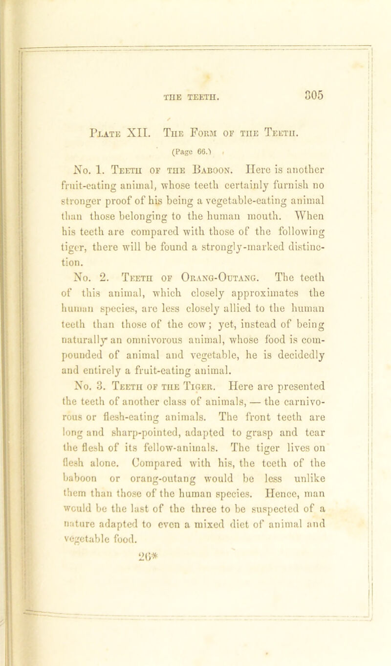 Prate XII. The Form of the Teeth. (Page 66.') , No. 1. Teeth of the Baboon. Hero is another fruit-eating animal, whose teeth certainly furnish no stronger proof of his being a vegetable-eating animal than those belonging to the human mouth. When his teeth are compared with those of the following tiger, there will be found a strongly-marked distinc- tion. No. 2. Teeth of Orang-Outang. The teeth of this animal, -which closely approximates the human species, are less closely allied to the human teeth than those of the cow; yet, instead of being naturally an omnivorous animal, whose food is com- pounded of animal and vegetable, he is decidedly and entirely a fruit-eating animal. No. 3. Teeth of the Tiger. Here are presented the teeth of another class of animals, — the carnivo- rous or flesh-eating animals. The front teeth are long and sharp-pointed, adapted to grasp and tear the flesh of its fellow-animals. The tiger lives on flesh alone. Compared with his, the teeth of the baboon or orang-outang would be less unlike them than those of the human species. Hence, man would be the last of the three to be suspected of a nature adapted to even a mixed diet of animal and vegetable food. 2(5*