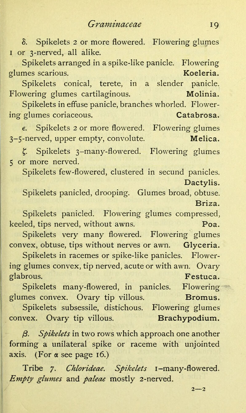S. Spikelets 2 or more flowered. Flowering glumes 1 or 3-nerved, all alike. Spikelets arranged in a spike-like panicle. Flowering glumes scarious. Koeleria. Spikelets conical, terete, in a slender panicle. Flowering glumes cartilaginous. Molinia. Spikelets in effuse panicle, branches whorled. Flower- ing glumes coriaceous. Catabrosa. e. Spikelets 2 or more flowered. Flowering glumes 3-5-nerved, upper empty, convolute. Melica. f. Spikelets 3-many-flowered. Flowering glumes 5 or more nerved. Spikelets few-flowered, clustered in secund panicles. Dactylis. Spikelets panicled, drooping. Glumes broad, obtuse. Briza. Spikelets panicled. Flowering glumes compressed, keeled, tips nerved, without awns. Poa. Spikelets very many flowered. Flowering glumes convex, obtuse, tips without nerves or awn. Glyceria. Spikelets in racemes or spike-like panicles. Flower- ing glumes convex, tip nerved, acute or with awn. Ovary glabrous. Festuca. Spikelets many-flowered, in panicles. Flowering glumes convex. Ovary tip villous. Bromus. Spikelets subsessile, distichous. Flowering glumes convex. Ovary tip villous. Brachypodium. j8. Spikelets in two rows which approach one another forming a unilateral spike or raceme with unjointed axis. (For a see page 16.) Tribe 7. Chlorideae. Spikelets i-many-flowered. Empty glumes and paleae mostly 2-nerved.