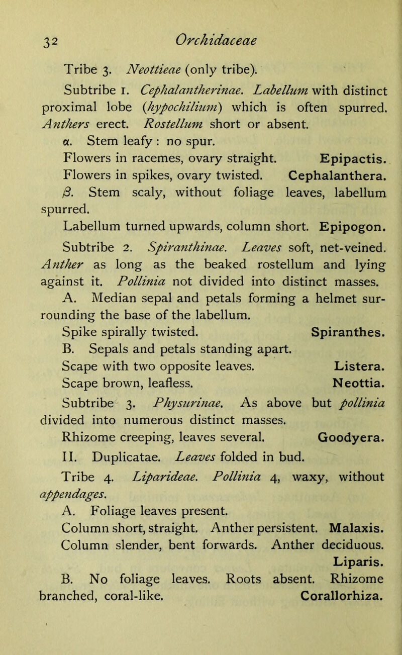 Tribe 3. Neottieae (only tribe). Subtribe 1. Ceplialantherinae. Labellum with distinct proximal lobe (hypochilium) which is often spurred. Anthers erect. Rostellmn short or absent. a. Stem leafy : no spur. Flowers in racemes, ovary straight. Epipactis. Flowers in spikes, ovary twisted. Cephalanthera. /3. Stem scaly, without foliage leaves, labellum spurred. Labellum turned upwards, column short. Epipogon. Subtribe 2. Spirantkinae. Leaves soft, net-veined. Anther as long as the beaked rostellum and lying against it. Pollinia not divided into distinct masses. A. Median sepal and petals forming a helmet sur- rounding the base of the labellum. Spike spirally twisted. Spiranthes. B. Sepals and petals standing apart. Scape with two opposite leaves. Listera. Scape brown, leafless. Neottia. Subtribe 3. Physurinae. As above but pollinia divided into numerous distinct masses. Rhizome creeping, leaves several. Goodyera. II. Duplicatae. Leaves folded in bud. Tribe 4. Liparideae. Pollinia 4, waxy, without appendages. A. Foliage leaves present. Column short, straight. Anther persistent. Malaxis. Column slender, bent forwards. Anther deciduous. Liparis. B. No foliage leaves. Roots absent. Rhizome branched, coral-like. Corallorhiza.