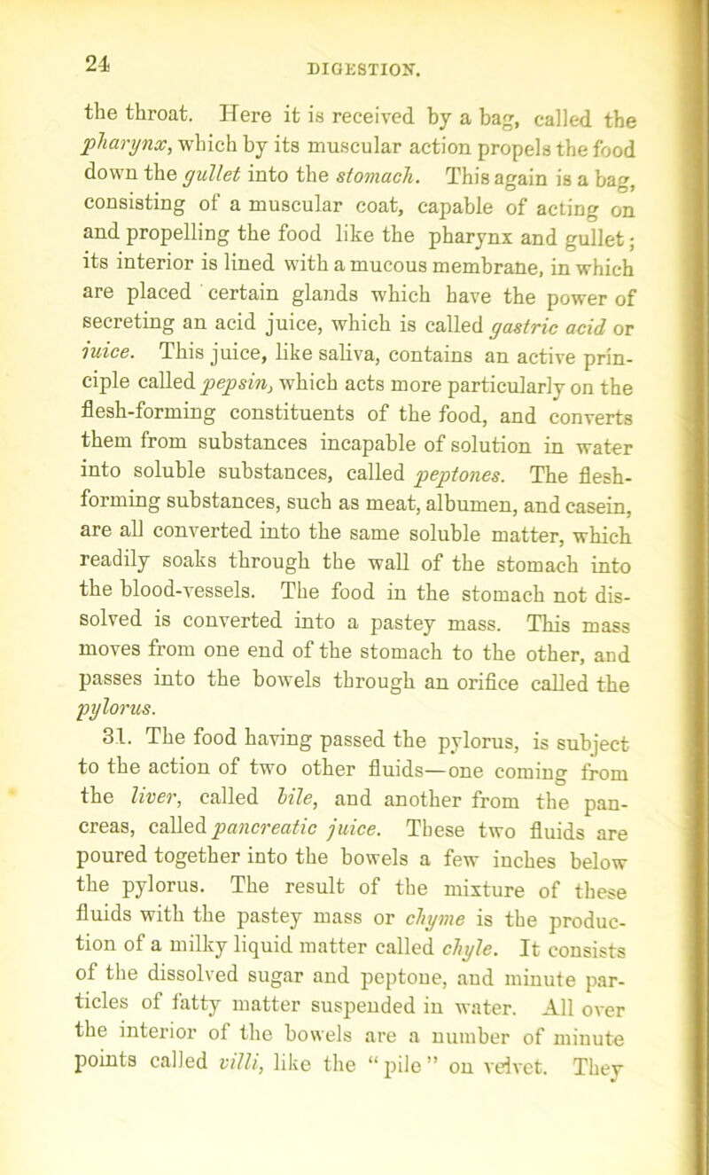 DIGESTION-. the throat. Here it is received by a bag, called the pharynx, which by its muscular action propels the food down the gullet into the stomach. This again is a bag, consisting of a muscular coat, capable of acting on and propelling the food like the pharynx and gullet; its interior is lined with a mucous membrane, in which are placed certain glands which have the power of secreting an acid juice, which is called gastric acid or mice. This juice, like saliva, contains an active prin- ciple called pepsin, which acts more particularly on the flesh-forming constituents of the food, and converts them from substances incapable of solution in water into soluble substances, called peptones. The flesh- forming substances, such as meat, albumen, and casein, are all converted into the same soluble matter, which readily soaks through the wall of the stomach into the blood-vessels. The food in the stomach not dis- solved is converted into a pastey mass. This mass moves from one end of the stomach to the other, and passes into the bowels through an orifice called the pylorus. 31. The food having passed the pylorus, is subject to the action of two other fluids—one coming from the liver, called bile, and another from the pan- creas, called pancreatic juice. These two fluids are poured together into the bowels a few inches below the pylorus. The result of the mixture of these fluids with the pastey mass or chyme is the produc- tion of a milky liquid matter called chyle. It consists of the dissolved sugar and peptone, and minute par- ticles of fatty matter suspended in water. All over the interior of the bowels are a number of minute points called villi, like the “ pile ” on velvet. They