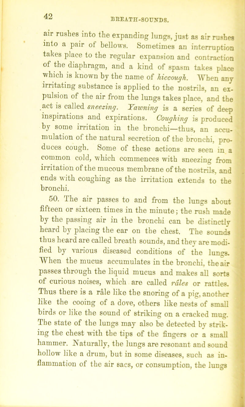 BREATH-SOUNDS. air rushes into the expanding lungs, just as air rushes into a pair of bellows. Sometimes an interruption takes place to the regular expansion and contraction of the diaphragm, and a kind of spasm takes place which is known by the name of hiccough. When any irritating substance is applied to the nostrils, an ex- pulsion of the air from the lungs takes place, and the act is called sneezing. Yawning is a series of deep inspirations and expirations. Coughing is produced by some irritation in the bronchi—thus, an accu- mulation of the natural secretion of the bronchi, pro- duces cough. Some of these actions are seen in a common cold, which commences with sneezing from irritation of the mucous membrane of the nostrils, and ends with coughing as the irritation extends to the bronchi. 50. The air passes to and from the lungs about fifteen or sixteen times in the minute j the rush made by the passing air in the bronchi can be distinctly heard by placing the ear on the chest. The sounds thus heard are called breath sounds, and they are modi- fied by various diseased conditions of the lun^s. When the mucus accumulates in the bronchi, the air passes through the liquid mucus and makes all sorts of curious noises, which are called rales or rattles. Thus there is a rale like the snoring of a pig, another like the cooing of a dove, others like nests of small birds or like the sound of striking on a cracked mug. The state of the lungs may also be detected by strik- ing the chest with the tips of the fingers or a small hammer. Naturally, the lungs are resonant and sound hollow like a drum, but in some diseases, such as in- flammation of the air sacs, or consumption, the lungs