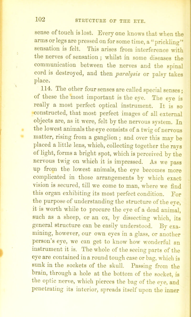 STRUCTURE OF THE EYE. sense of touch is lost. Every one knows that when the arms or legs are pressed on for some time, a “prickling” sensation is felt. This arises from interference with the nerves of sensation ; whilst in some diseases the communication between the nerves and the spinal cord is destroyed, and then paralysis or palsy takes place. 114. The other four senses are called special senses; of these the most important is the eye. The eve is really a most perfect optical instrument. It is so constructed, that most perfect images of all external objects are, as it were, felt by the nervous svstem. In the lowest animals the eye consists of a twig of nervous matter, rising from a ganglion ; and over this may be placed a little lens, which, collecting together the ravs of light, forms a bright spot, which is perceived bv the nervous twig on which it is impressed. As we pass up from the lowest animals, the eye becomes more complicated in those arrangements by which exact vision is secured, till we come to man, where we find this organ exhibiting its most perfect condition. For the purpose of understanding the structure of the eve, it is worth while to procure the eye of a dead animal, such as a sheep, or an ox, by dissecting which, its general structure can be easily understood. Bv exa- mining, however, our own eyes in a glass, or another person’s eye, we can get to know how wonderful an instrument it is. The whole of the seeing parts of the eye are contained in a round tough case or bag, which is sunk in the sockets of the skull. Passing from the brain, through a hole at the bottom of the socket, is the optic nerve, which pierces the bag of the eve, and penetrating its interior, spreads itself upon the inner