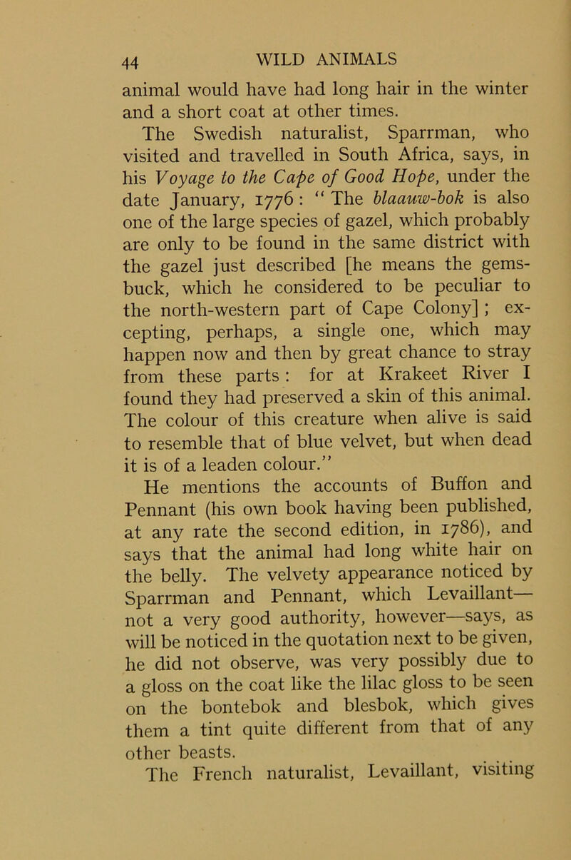 animal would have had long hair in the winter and a short coat at other times. The Swedish naturalist, Sparrman, who visited and travelled in South Africa, says, in his Voyage to the Cape of Good Hope, under the date January, 1776 : “ The blaauw-hok is also one of the large species of gazel, which probably are only to be found in the same district with the gazel just described [he means the gems- buck, which he considered to be peculiar to the north-western part of Cape Colony] ; ex- cepting, perhaps, a single one, which may happen now and then by great chance to stray from these parts: for at Krakeet River I found they had preserved a skin of this animal. The colour of this creature when alive is said to resemble that of blue velvet, but when dead it is of a leaden colour.” He mentions the accounts of Buffon and Pennant (his own book having been published, at any rate the second edition, in 1786), and says that the animal had long white hair on the belly. The velvety appearance noticed by Sparrman and Pennant, which Levaillant not a very good authority, however—says, as will be noticed in the quotation next to be given, he did not observe, was very possibly due to a gloss on the coat like the lilac gloss to be seen on the bontebok and blesbok, which gives them a tint quite different from that of any other beasts. The French naturalist, Levaillant, visiting