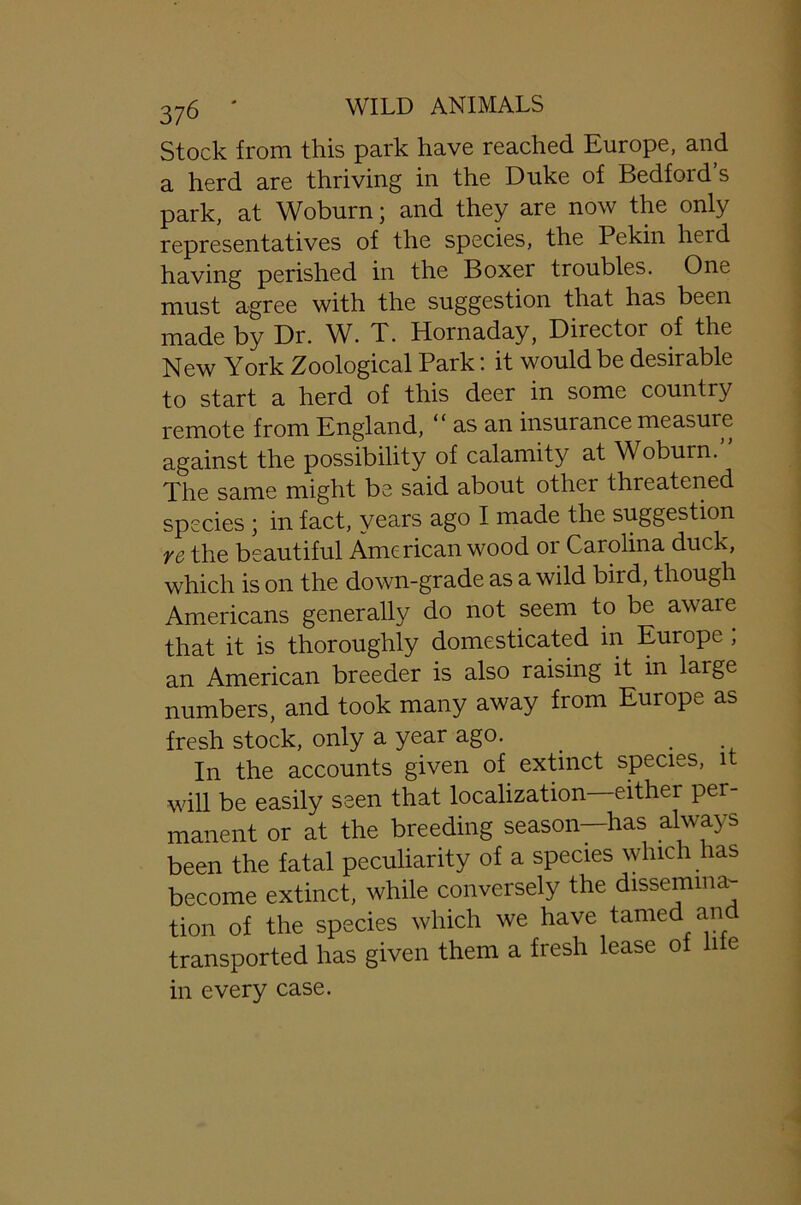 Stock from this park have reached Europe, and a herd are thriving in the Duke of Bedford’s park, at Woburn; and they are now the only representatives of the species, the Pekin herd having perished in the Boxer troubles. One must agree with the suggestion that has been made by Dr. W. T. Hornaday, Directoi of the New York Zoological Park: it would be desirable to start a herd of this deer in some country remote from England, “ as an insuiance measure against the possibility of calamity at Woburn. The same might be said about other threatened species ; in fact, years ago I made the suggestion re the beautiful American wood or Carolina duck, which is on the down-grade as a wild bird, though Americans generally do not seem to be awaie that it is thoroughly domesticated in Europe ; an American breeder is also raising it in large numbers, and took many away from Europe as fresh stock, only a year ago. In the accounts given of extinct species, it will be easily seen that localization—either per- manent or at the breeding season—has always been the fatal peculiarity of a species which has become extinct, while conversely the dissemina- tion of the species which we have tamed and transported has given them a fresh lease of li e in every case.