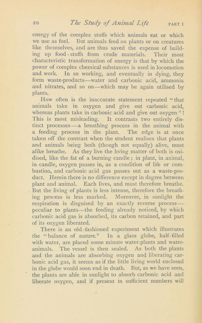 energy of the complex stuffs which animals eat or which we use as fuel. But animals feed on plants or on creatures like themselves, and are thus saved the expense of build- ing up food - stuffs from crude materials. Their most characteristic transformation of energy is that by which the power of complex chemical substances is used in locomotion and work. In so working, and eventually in dying, they form waste-products—water and carbonic acid, ammonia and nitrates, and so on—which may be again utilised by plants. How often is the inaccurate statement repeated “ that animals take in oxygen and give out carbonic acid, whereas plants take in carbonic acid and give out oxygen ” ! This is most misleading. It contrasts two entirely dis- tinct processes — a breathing process in the animal with a feeding process in the plant. The edge is at once taken off the contrast when the student realises that plants and animals being both (though not equally) alive, must alike breathe. As they live the living matter of both is oxi- dised, like the fat of a burning candle ; in plant, in animal, in candle, oxygen passes in, as a condition of life or com- bustion, and carbonic acid gas passes out as a waste-pro- duct. Herein there is no difference except in degree between plant and animal. Each lives, and must therefore breathe. But the living of plants is less intense, therefore the breath- ing process is less marked. Moreover, in sunlight the respiration is disguised by an exactly reverse process — peculiar to plants—the feeding already noticed, by which carbonic acid gas is absorbed, its carbon retained, and part of its oxygen liberated. There is an old-fashioned experiment which illustrates the “balance of nature.” In a glass globe, half-filled with water, are placed some minute water-plants and water- animals. The vessel is then sealed. As both the plants and the animals are absorbing oxygen and liberating car- bonic acid gas, it seems as if the little living world enclosed in the globe would soon end in death. But, as we have seen, the plants are able in sunlight to absorb carbonic acid and liberate oxygen, and if present in sufficient numbers will