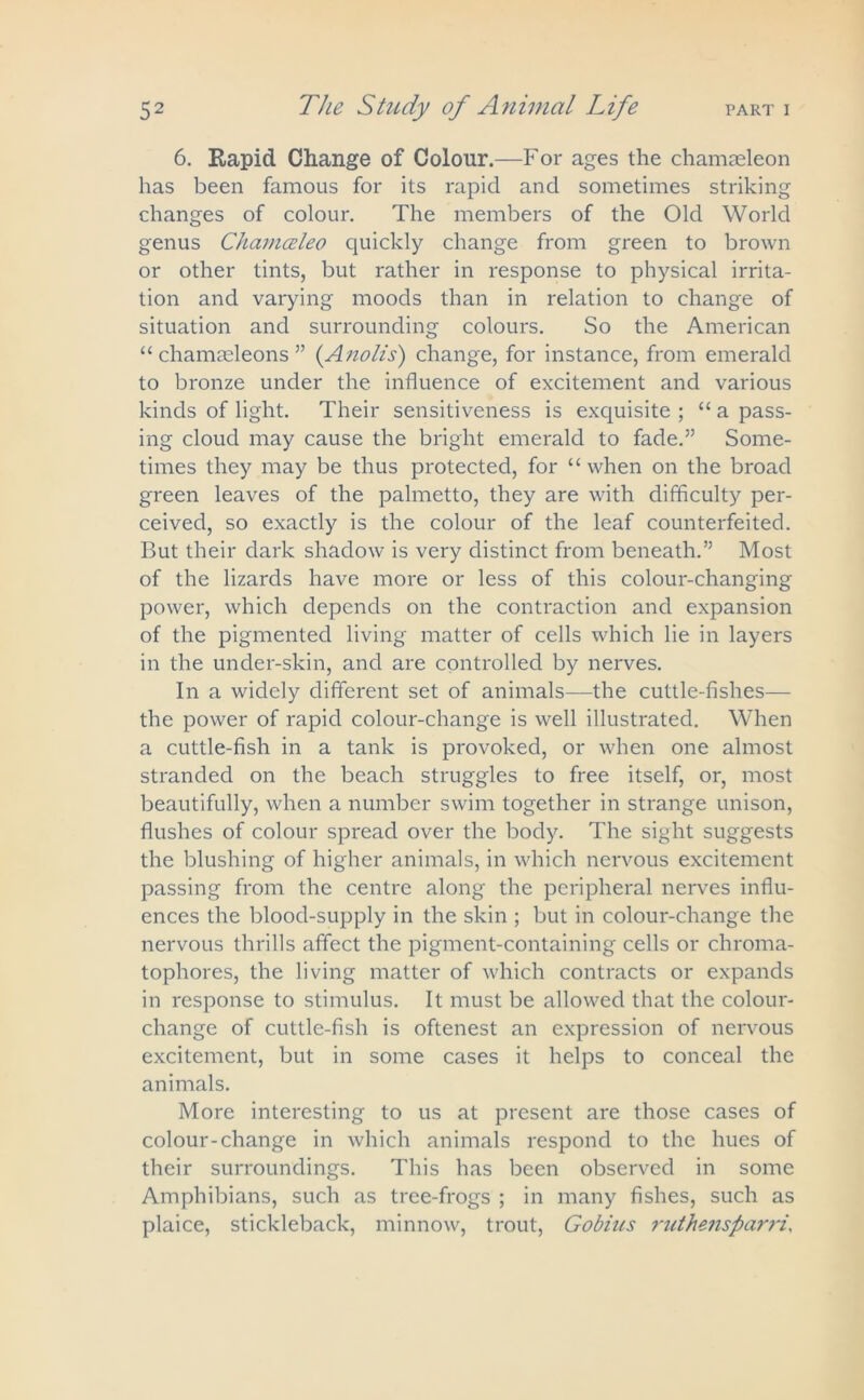 6. Rapid Change of Colour.—For ages the chamseleon has been famous for its rapid and sometimes striking changes of colour. The members of the Old World genus Chamceleo quickly change from green to brown or other tints, but rather in response to physical irrita- tion and varying moods than in relation to change of situation and surrounding colours. So the American “ chamaeleons ” (Anolis) change, for instance, from emerald to bronze under the influence of excitement and various kinds of light. Their sensitiveness is exquisite ; “ a pass- ing cloud may cause the bright emerald to fade.” Some- times they may be thus protected, for “ when on the broad green leaves of the palmetto, they are with difficulty per- ceived, so exactly is the colour of the leaf counterfeited. But their dark shadow is very distinct from beneath.” Most of the lizards have more or less of this colour-changing power, which depends on the contraction and expansion of the pigmented living matter of cells which lie in layers in the under-skin, and are controlled by nerves. In a widely different set of animals—the cuttle-fishes— the power of rapid colour-change is well illustrated. When a cuttle-fish in a tank is provoked, or when one almost stranded on the beach struggles to free itself, or, most beautifully, when a number swim together in strange unison, flushes of colour spread over the body. The sight suggests the blushing of higher animals, in which nervous excitement passing from the centre along the peripheral nerves influ- ences the blood-supply in the skin ; but in colour-change the nervous thrills affect the pigment-containing cells or chroma- tophores, the living matter of which contracts or expands in response to stimulus. It must be allowed that the colour- change of cuttle-fish is oftenest an expression of nervous excitement, but in some cases it helps to conceal the animals. More interesting to us at present are those cases of colour-change in which animals respond to the hues of their surroundings. This has been observed in some Amphibians, such as tree-frogs ; in many fishes, such as plaice, stickleback, minnow, trout, Gobius ruthensparri.