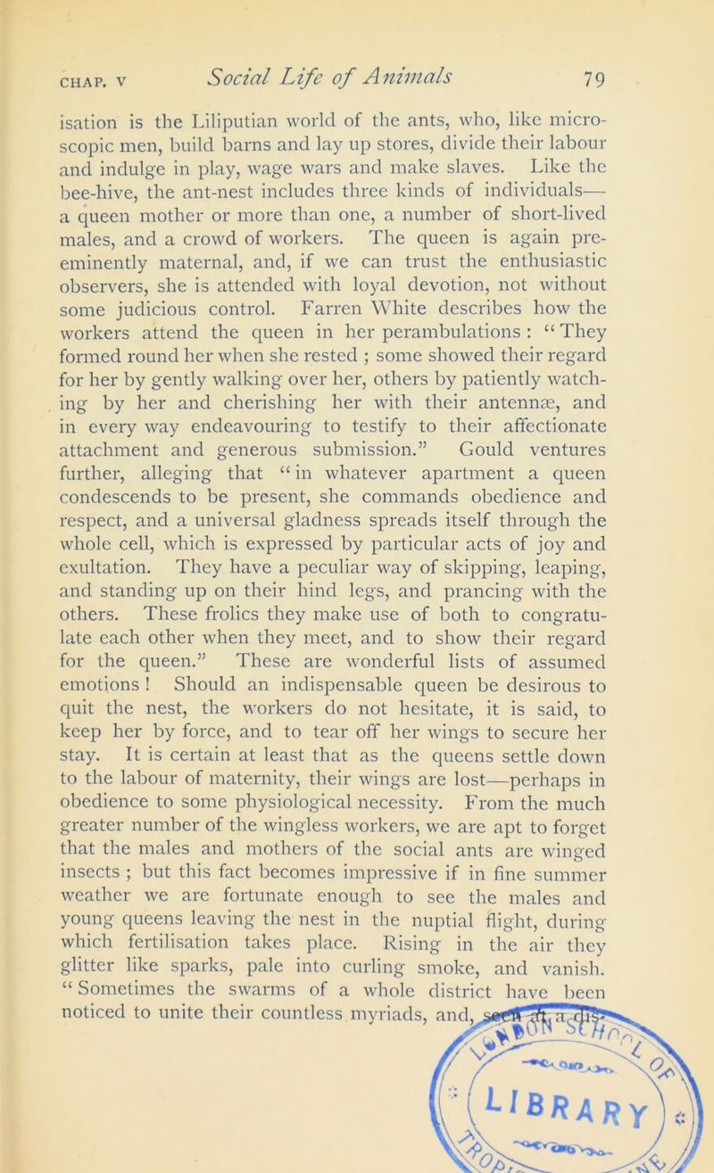 isation is the Liliputian world of the ants, who, like micro- scopic men, build barns and lay up stores, divide their labour and indulge in play, wage wars and make slaves. Like the bee-hive, the ant-nest includes three kinds of individuals— a queen mother or more than one, a number of short-lived males, and a crowd of workers. The queen is again pre- eminently maternal, and, if we can trust the enthusiastic observers, she is attended with loyal devotion, not without some judicious control. Farren White describes how the workers attend the queen in her perambulations : “ They formed round her when she rested ; some showed their regard for her by gently walking over her, others by patiently watch- ing by her and cherishing her with their antennas, and in every way endeavouring to testify to their affectionate attachment and generous submission.” Gould ventures further, alleging that “ in whatever apartment a queen condescends to be present, she commands obedience and respect, and a universal gladness spreads itself through the whole cell, which is expressed by particular acts of joy and exultation. They have a peculiar way of skipping, leaping, and standing up on their hind legs, and prancing with the others. These frolics they make use of both to congratu- late each other when they meet, and to show their regard for the queen.” These are wonderful lists of assumed emotions ! Should an indispensable queen be desirous to quit the nest, the workers do not hesitate, it is said, to keep her by force, and to tear off her wings to secure her stay. It is certain at least that as the queens settle down to the labour of maternity, their wings are lost—perhaps in obedience to some physiological necessity. From the much greater number of the wingless workers, we are apt to forget that the males and mothers of the social ants are winged insects ; but this fact becomes impressive if in fine summer weather we are fortunate enough to see the males and young queens leaving the nest in the nuptial flight, during which fertilisation takes place. Rising in the air they glitter like sparks, pale into curling smoke, and vanish. “ Sometimes the swarms of a whole district have been noticed to unite their countless myriads,