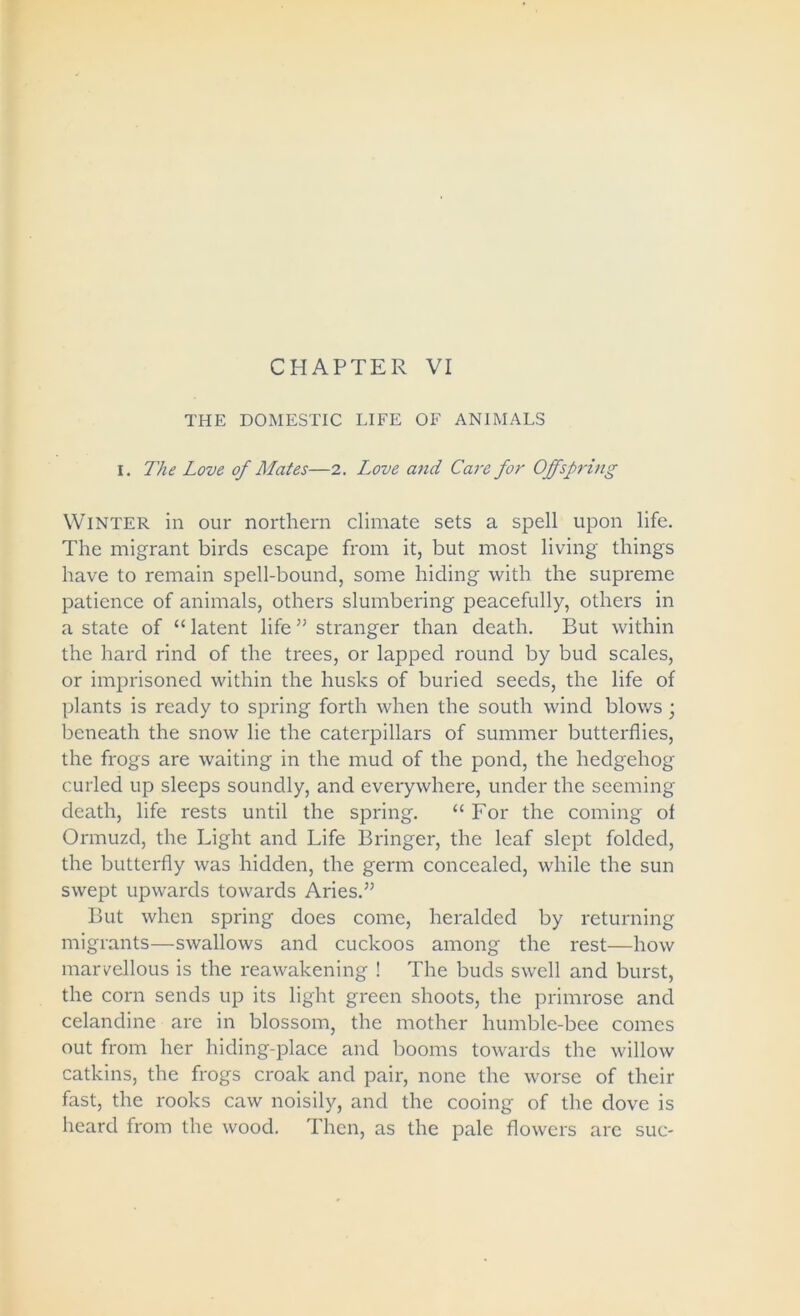 THE DOMESTIC LIFE OF ANIMALS I. The Love of Mates—2. Love and Care for Offspring Winter in our northern climate sets a spell upon life. The migrant birds escape from it, but most living things have to remain spell-bound, some hiding with the supreme patience of animals, others slumbering peacefully, others in a state of “ latent life ” stranger than death. But within the hard rind of the trees, or lapped round by bud scales, or imprisoned within the husks of buried seeds, the life of plants is ready to spring forth when the south wind blows; beneath the snow lie the caterpillars of summer butterflies, the frogs are waiting in the mud of the pond, the hedgehog curled up sleeps soundly, and everywhere, under the seeming death, life rests until the spring. “ For the coming of Ormuzd, the Light and Life Bringer, the leaf slept folded, the butterfly was hidden, the germ concealed, while the sun swept upwards towards Aries.” But when spring does come, heralded by returning migrants—swallows and cuckoos among the rest—how marvellous is the reawakening ! The buds swell and burst, the corn sends up its light green shoots, the primrose and celandine are in blossom, the mother humble-bee comes out from her hiding-place and booms towards the willow catkins, the frogs croak and pair, none the worse of their fast, the rooks caw noisily, and the cooing of the dove is heard from the wood. Then, as the pale flowers are sue-
