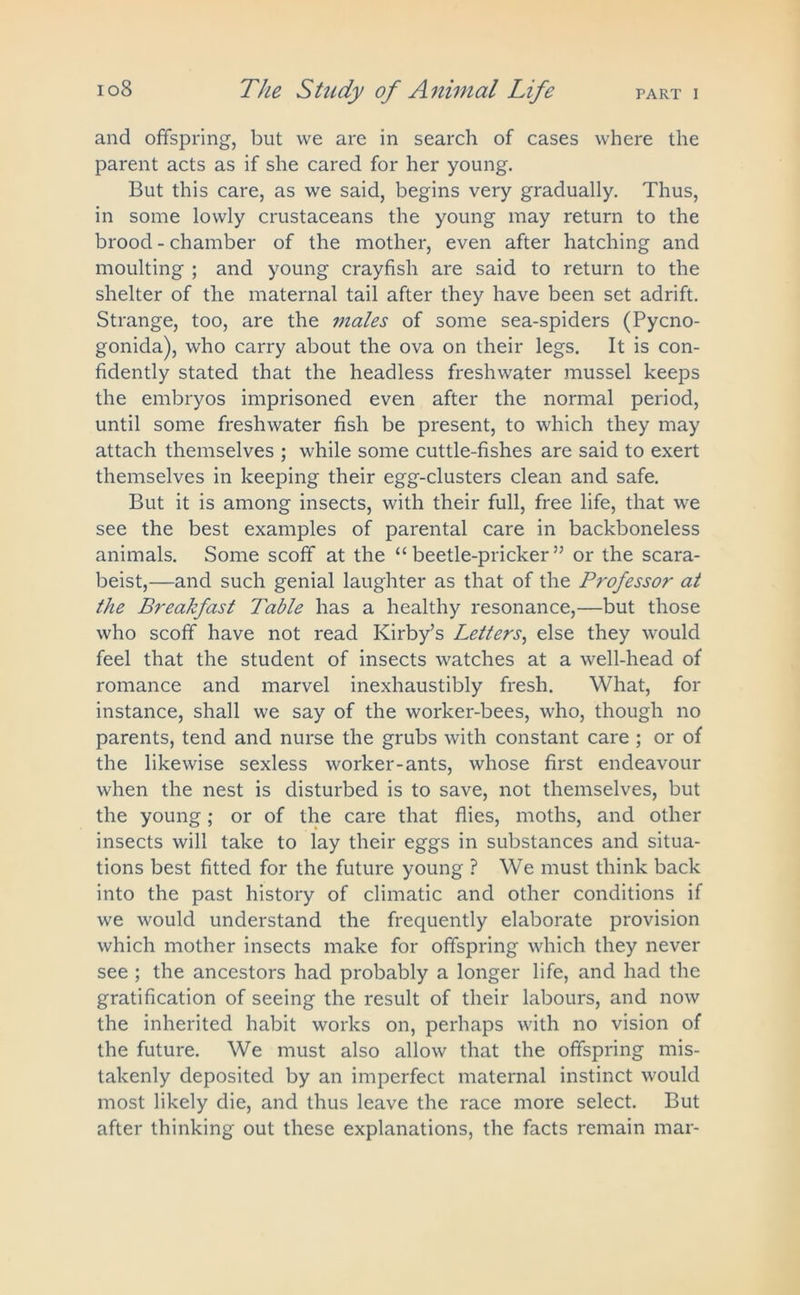 and offspring, but vve are in search of cases where the parent acts as if she cared for her young. But this care, as we said, begins very gradually. Thus, in some lowly crustaceans the young may return to the brood - chamber of the mother, even after hatching and moulting ; and young crayfish are said to return to the shelter of the maternal tail after they have been set adrift. Strange, too, are the males of some sea-spiders (Pycno- gonida), who carry about the ova on their legs. It is con- fidently stated that the headless freshwater mussel keeps the embryos imprisoned even after the normal period, until some freshwater fish be present, to which they may attach themselves ; while some cuttle-fishes are said to exert themselves in keeping their egg-clusters clean and safe. But it is among insects, with their full, free life, that we see the best examples of parental care in backboneless animals. Some scoff at the “beetle-pricker” or the scara- beist,—and such genial laughter as that of the Professor at the Breakfast Table has a healthy resonance,—but those who scoff have not read Kirby’s Letters, else they would feel that the student of insects watches at a well-head of romance and marvel inexhaustibly fresh. What, for instance, shall we say of the worker-bees, who, though no parents, tend and nurse the grubs with constant care ; or of the likewise sexless worker-ants, whose first endeavour when the nest is disturbed is to save, not themselves, but the young; or of the care that flies, moths, and other insects will take to lay their eggs in substances and situa- tions best fitted for the future young ? We must think back into the past history of climatic and other conditions if we would understand the frequently elaborate provision which mother insects make for offspring which they never see ; the ancestors had probably a longer life, and had the gratification of seeing the result of their labours, and now the inherited habit works on, perhaps with no vision of the future. We must also allow that the offspring mis- takenly deposited by an imperfect maternal instinct would most likely die, and thus leave the race more select. But after thinking out these explanations, the facts remain mar-