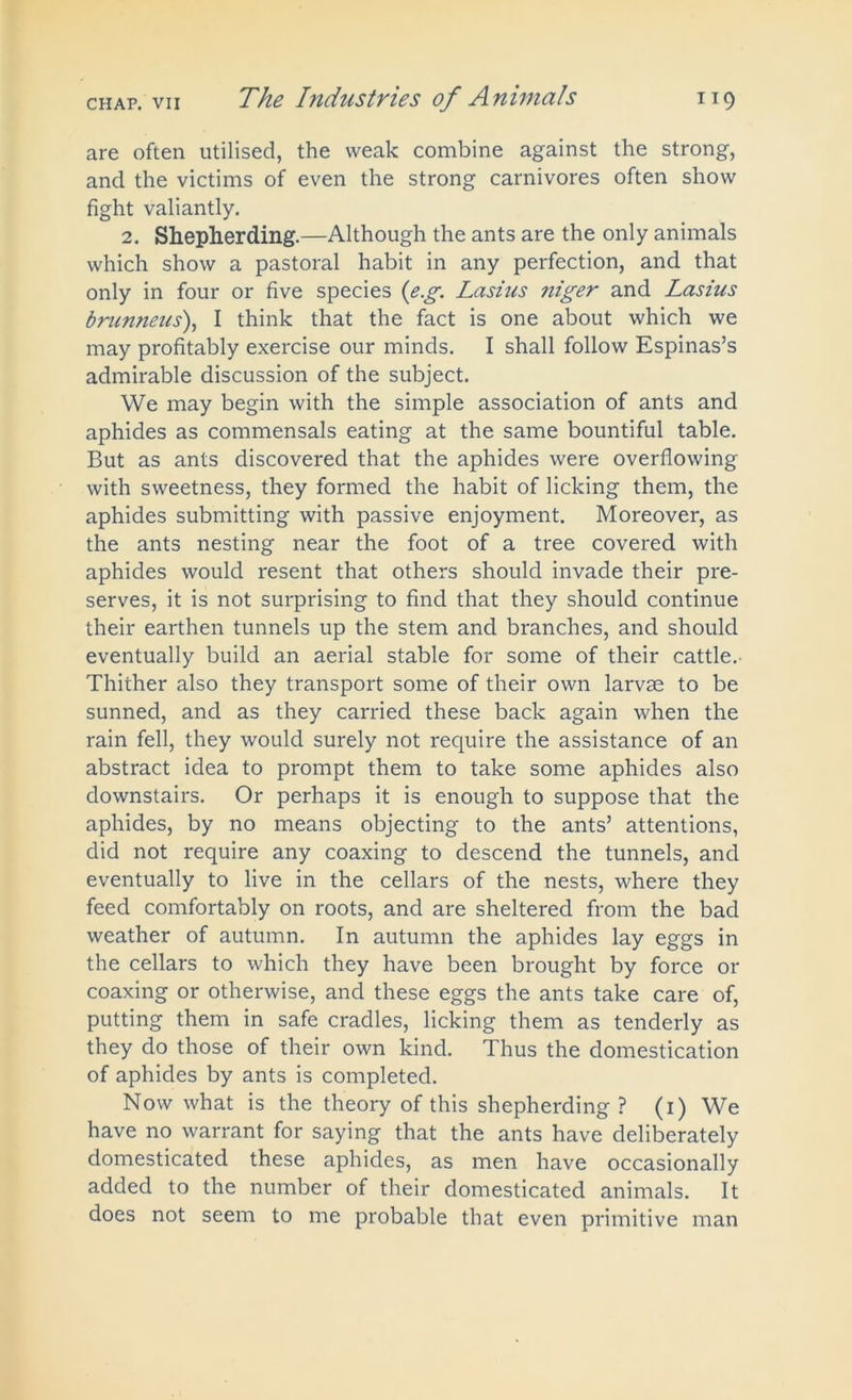 are often utilised, the weak combine against the strong, and the victims of even the strong carnivores often show fight valiantly. 2. Shepherding.—Although the ants are the only animals which show a pastoral habit in any perfection, and that only in four or five species (e.g. Lasius niger and Lasius brunneus\ I think that the fact is one about which we may profitably exercise our minds. I shall follow Espinas’s admirable discussion of the subject. We may begin with the simple association of ants and aphides as commensals eating at the same bountiful table. But as ants discovered that the aphides were overflowing with sweetness, they formed the habit of licking them, the aphides submitting with passive enjoyment. Moreover, as the ants nesting near the foot of a tree covered with aphides would resent that others should invade their pre- serves, it is not surprising to find that they should continue their earthen tunnels up the stem and branches, and should eventually build an aerial stable for some of their cattle. Thither also they transport some of their own larvae to be sunned, and as they carried these back again when the rain fell, they would surely not require the assistance of an abstract idea to prompt them to take some aphides also downstairs. Or perhaps it is enough to suppose that the aphides, by no means objecting to the ants’ attentions, did not require any coaxing to descend the tunnels, and eventually to live in the cellars of the nests, where they feed comfortably on roots, and are sheltered from the bad weather of autumn. In autumn the aphides lay eggs in the cellars to which they have been brought by force or coaxing or otherwise, and these eggs the ants take care of, putting them in safe cradles, licking them as tenderly as they do those of their own kind. Thus the domestication of aphides by ants is completed. Now what is the theory of this shepherding ? (1) We have no warrant for saying that the ants have deliberately domesticated these aphides, as men have occasionally added to the number of their domesticated animals. It does not seem to me probable that even primitive man