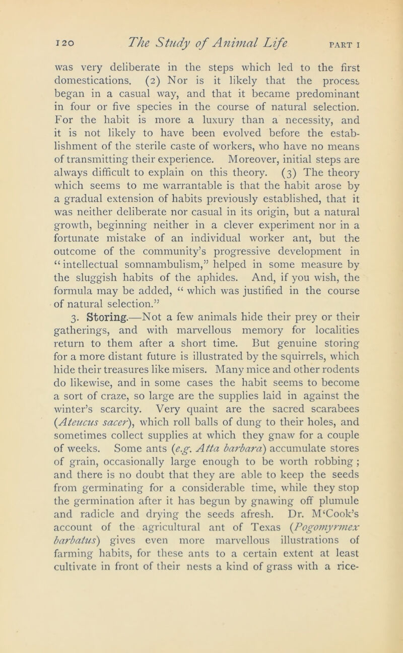 was very deliberate in the steps which led to the first domestications. (2) Nor is it likely that the process began in a casual way, and that it became predominant in four or five species in the course of natural selection. For the habit is more a luxury than a necessity, and it is not likely to have been evolved before the estab- lishment of the sterile caste of workers, who have no means of transmitting their experience. Moreover, initial steps are always difficult to explain on this theory. (3) The theory which seems to me warrantable is that the habit arose by a gradual extension of habits previously established, that it was neither deliberate nor casual in its origin, but a natural growth, beginning neither in a clever experiment nor in a fortunate mistake of an individual worker ant, but the outcome of the community’s progressive development in “intellectual somnambulism,” helped in some measure by the sluggish habits of the aphides. And, if you wish, the formula may be added, “ which was justified in the course of natural selection.” 3. Storing.—Not a few animals hide their prey or their gatherings, and with marvellous memory for localities return to them after a short time. But genuine storing for a more distant future is illustrated by the squirrels, which hide their treasures like misers. Many mice and other rodents do likewise, and in some cases the habit seems to become a sort of craze, so large are the supplies laid in against the winter’s scarcity. Very quaint are the sacred scarabees (.Ateucus sacer), which roll balls of dung to their holes, and sometimes collect supplies at which they gnaw for a couple of weeks. Some ants (e.g. Atta barbard) accumulate stores of grain, occasionally large enough to be worth robbing; and there is no doubt that they are able to keep the seeds from germinating for a considerable time, while they stop the germination after it has begun by gnawing off plumule and radicle and drying the seeds afresh. Dr. M‘Cook’s account of the agricultural ant of Texas (.Pogoinyrmex barbatus) gives even more marvellous illustrations of farming habits, for these ants to a certain extent at least cultivate in front of their nests a kind of grass with a rice-
