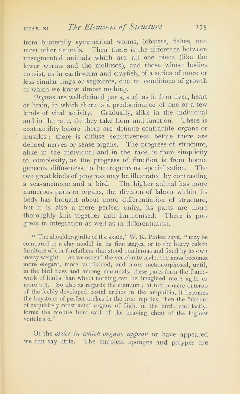from bilaterally symmetrical worms, lobsters, fishes, and most other animals. Then there is the difference between unsegmented animals which are all one piece (like the lower worms and the molluscs), and those whose bodies consist, as in earthworm and crayfish, of a series of more or less similar rings or segments, due to conditions of growth of which we know almost nothing. Organs are well-defined parts, such as limb or liver, heart or brain, in which there is a predominance of one or a few kinds of vital activity. Gradually, alike in the individual and in the race, do they take form and function. There is contractility before there are definite contractile organs or muscles; there is diffuse sensitiveness before there are defined nerves or sense-organs. The progress of structure, alike in the individual and in the race, is from simplicity to complexity, as the progress of function is from homo- geneous diffuseness to heterogeneous specialisation. The two great kinds of progress may be illustrated by contrasting a sea-anemone and a bird. The higher animal has more numerous parts or organs, the division of labour within its body has brought about more differentiation of structure, but it is also a more perfect unity, its parts are more thoroughly knit together and harmonised. There is pro- gress in integration as well as in differentiation. “ The shoulder-girdle of the skate,” W. K. Parker says, “ may be compared to a clay model in its first stages, or to the heavy oaken furniture of our forefathers that stood ponderous and fixed by its own massy weight. As we ascend the vertebrate scale, the mass becomes more elegant, more subdivided, and more metamorphosed, until, in the bird class and among mammals, these parts form the frame- work of limbs than which nothing can be imagined more agile or more apt. So also as regards the sternum ; at first a mere outcrop of the feebly developed costal arches in the amphibia, it becomes the keystone of perfect arches in the true reptiles, then the fulcrum of exquisitely constructed organs of flight in the bird ; and lastly, forms the mobile front wall of the heaving chest of the highest vertebrate.” Of the order in which organs appear or have appeared we can say little. The simplest sponges and polypes are