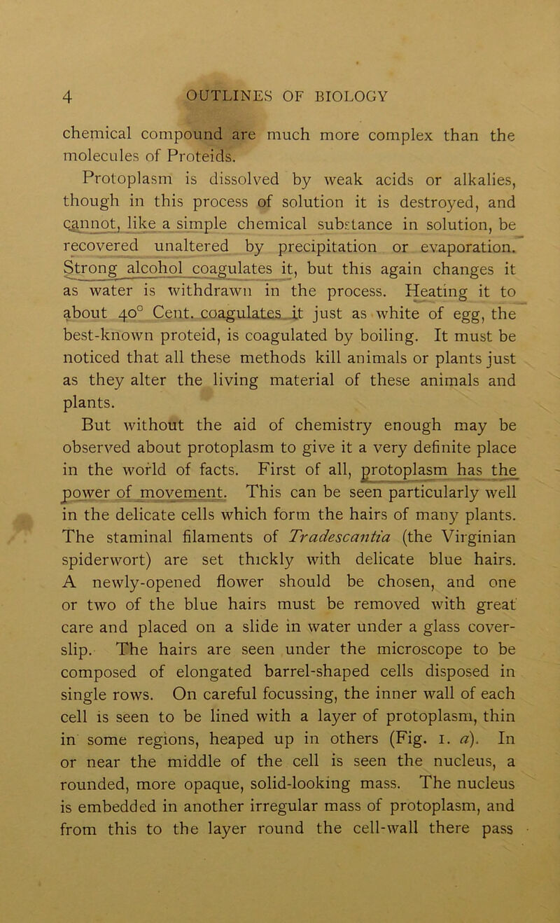 chemical compound are much more complex than the molecules of Proteids. Protoplasm is dissolved by weak acids or alkalies, though in this process of solution it is destroyed, and Oannot, like a simple chemical substance in solution, be recovered unaltered by precipitation or evaporation. Strong alcohol coagulates it, but this again changes it as water is withdrawn in the process. Heating it to about 40° Cent, coagulates-.it just as white of egg, the best-known proteid, is coagulated by boiling. It must be noticed that all these methods kill animals or plants just as they alter the living material of these animals and plants. But without the aid of chemistry enough may be observed about protoplasm to give it a very definite place in the world of facts. First of all, protoplasm has the pmyer of movement. This can be seen particularly well in the delicate cells which form the hairs of many plants. The staminal filaments of Tradescantia (the Virginian spiderwort) are set thickly with delicate blue hairs. A newly-opened flower should be chosen, and one or two of the blue hairs must be removed with great care and placed on a slide in water under a glass cover- slip. The hairs are seen under the microscope to be composed of elongated barrel-shaped cells disposed in single rows. On careful focussing, the inner wall of each cell is seen to be lined with a layer of protoplasm, thin in some regions, heaped up in others (Fig. i. d). In or near the middle of the cell is seen the nucleus, a rounded, more opaque, solid-looking mass. The nucleus is embedded in another irregular mass of protoplasm, and from this to the layer round the cell-wall there pass