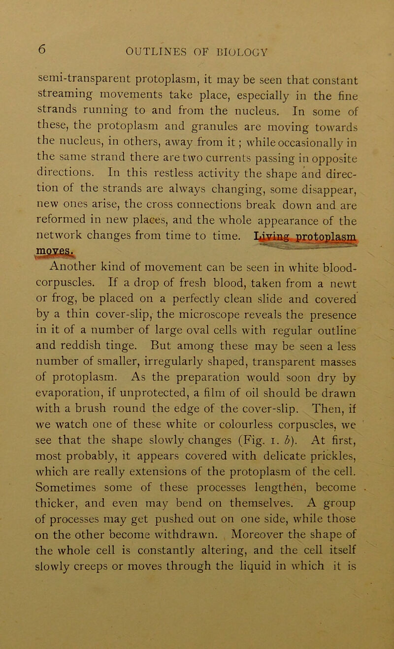semi-transparent protoplasm, it may be seen that constant streaming movements take place, especially in the fine strands running to and from the nucleus. In some of these, the protoplasm and granules are moving towards the nucleus, in others, away from it; while occasionally in the same strand there are two currents passing in opposite directions. In this restless activity the shape and direc- tion of the strands are always changing, some disappear, new ones arise, the cross connections break down and are reformed in new places, and the whole appearance of the network changes from time to time. move.s. Another kind of movement can be seen in white blood- corpuscles. If a drop of fresh blood, taken from a newt or frog, be placed on a perfectly clean slide and covered by a thin cover-slip, the microscope reveals the presence in it of a number of large oval cells with regular outline and reddish tinge. But among these may be seen a less number of smaller, irregularly shaped, transparent masses of protoplasm. As the preparation would soon dry by evaporation, if unprotected, a film of oil should be drawn with a brush round the edge of the cover-slip. Then, if we watch one of these white or colourless corpuscles, we see that the shape slowly changes (Fig. i. d). At first, most probably, it appears covered with delicate prickles, which are really extensions of the protoplasm of the cell. Sometimes some of these processes lengthen, become thicker, and even may bend on themselves. A group of processes may get pushed out on one side, while those on the other become withdrawn. Moreover the shape of the whole cell is constantly altering, and the cell itself slowly creeps or moves through the liquid in which it is