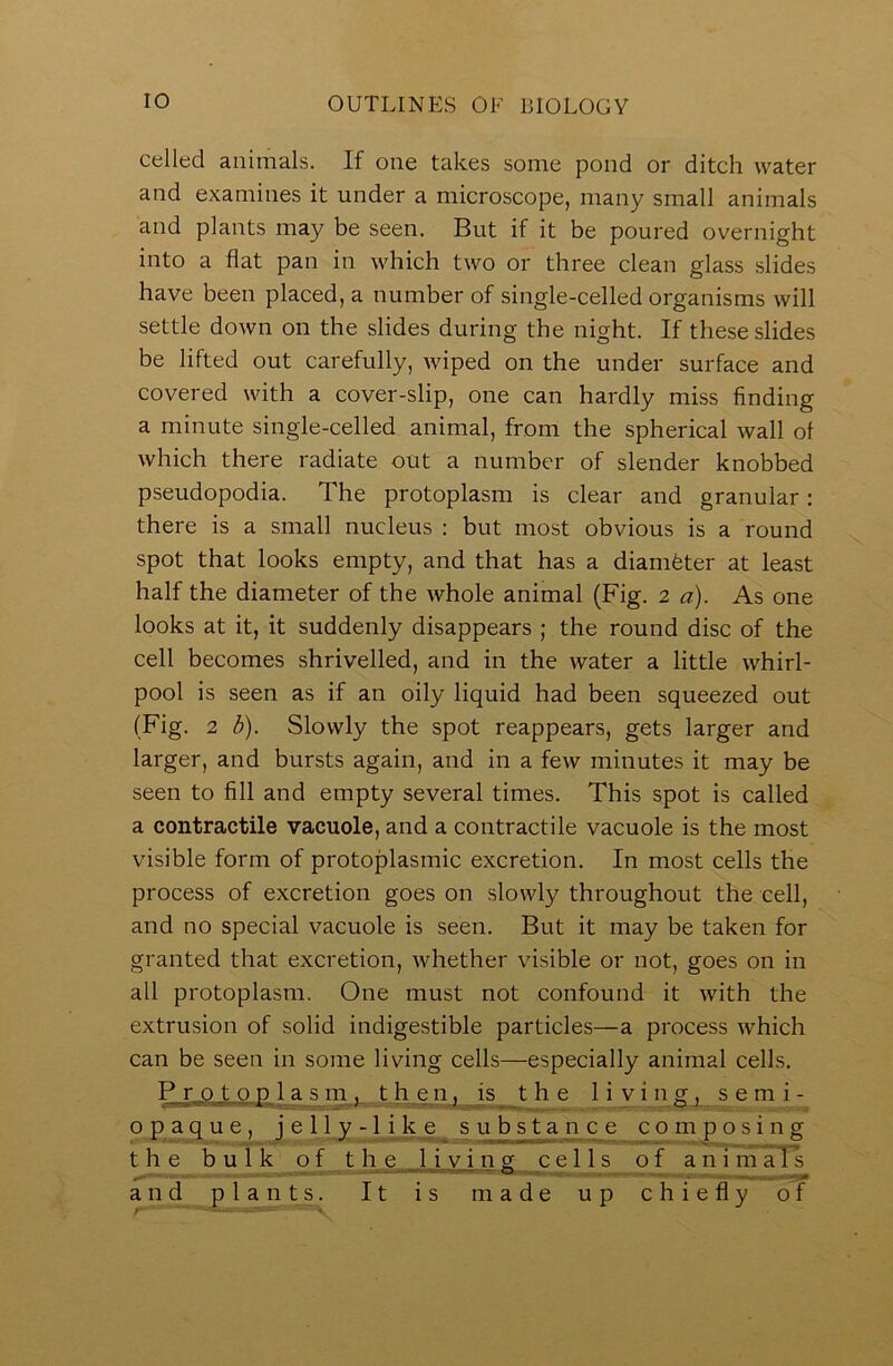 celled animals. If one takes some pond or ditch water and examines it under a microscope, many small animals and plants may be seen. But if it be poured overnight into a flat pan in which two or three clean glass slides have been placed, a number of single-celled organisms will settle down on the slides during the night. If these slides be lifted out carefully, wiped on the under surface and covered with a cover-slip, one can hardly miss finding a minute single-celled animal, from the spherical wall of which there radiate out a number of slender knobbed pseudopodia. The protoplasm is clear and granular: there is a small nucleus : but most obvious is a round spot that looks empty, and that has a diamfeter at least half the diameter of the whole animal (Fig. 2 a). As one looks at it, it suddenly disappears ; the round disc of the cell becomes shrivelled, and in the water a little whirl- pool is seen as if an oily liquid had been squeezed out (Fig. 2 b). Slowly the spot reappears, gets larger and larger, and bursts again, and in a few minutes it may be seen to fill and empty several times. This spot is called a contractile vacuole, and a contractile vacuole is the most visible form of protoplasmic excretion. In most cells the process of excretion goes on slowly throughout the cell, and no special vacuole is seen. But it may be taken for granted that excretion, whether visible or not, goes on in all protoplasm. One must not confound it with the extrusion of solid indigestible particles—a process which can be seen in some living cells—especially animal cells. Proto p 1 a s m . t h e n ^ is the livingj semi- opaque, j e 11 y -1 i k e subs t a n c e composing the bulk of t h e J i y i n gcells of anim al^ and plants. It is made up chiefly of