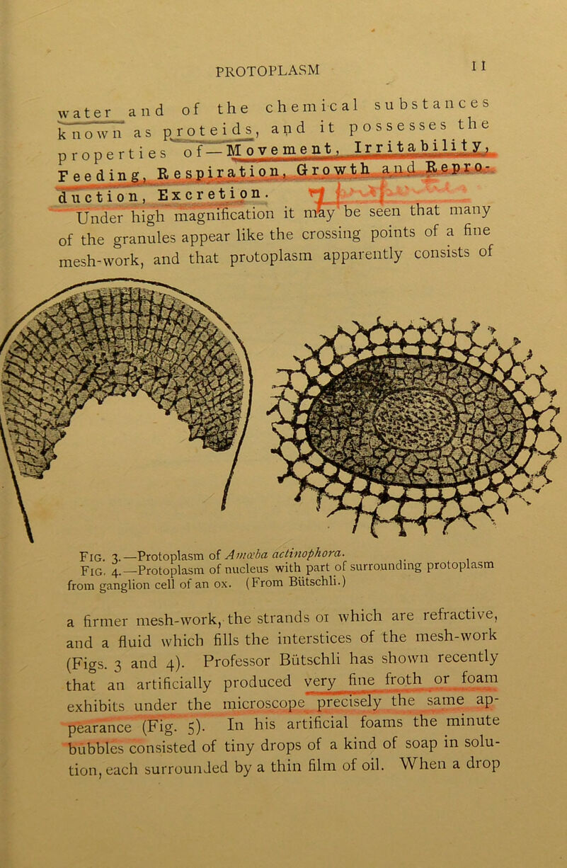 I I water and of the chemical substances known as proteids, apd it possesses the properties ^ f-M n v e m e nt, Ir r it F e e d i n g.,. R .to.w t V. diiction, Excretij)n. '' Under high rnagnilication it m^ be seen that many of the granules appear like the crossing points of a fine mesh-work, and that protoplasm apparently consists of Fig. —Vrotov\asm of Awa’Aa aclinopkora. Fig. 4.—Protoplasm of nucleus with part of surrounding protoplasm from ganglion cell of an ox. (From Butschli.) a firmer mesh-work, the strands 01 Avhich are refractive, and a fluid which fills the interstices of the mesh-work (Figs. 3 and 4). Professor Butschli has shown recently that an artificially produced very fine frotli .or^foam exhibits under the microscope^^ precisely the same ap- pearance (Fig^ 5). In his artificial foams the minute bubbles consisted of tiny drops of a kind of soap in solu- tion, each surrounded by a thin film of oil. When a drop