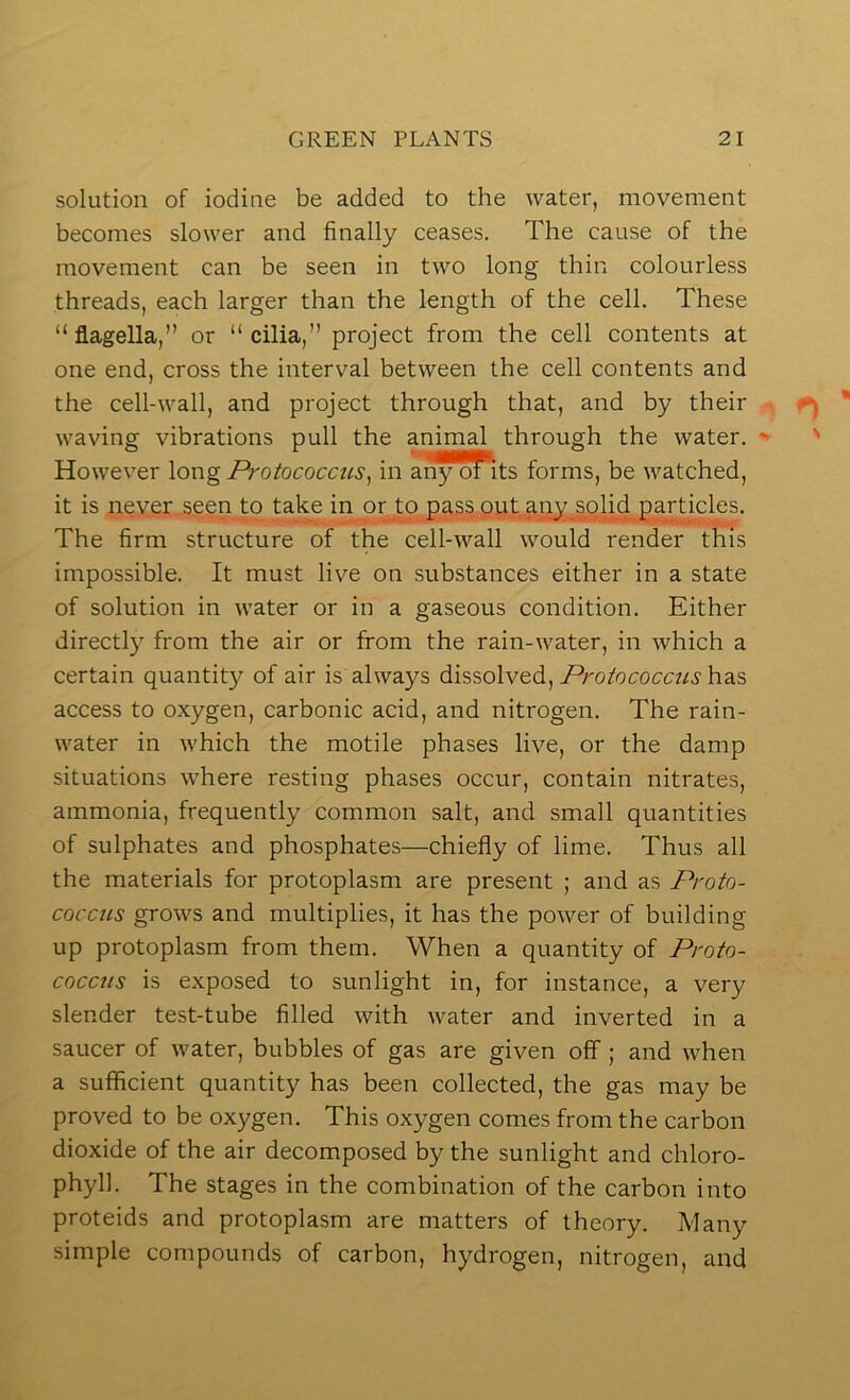solution of iodine be added to the water, movement becomes slower and finally ceases. The cause of the movement can be seen in two long thin colourless threads, each larger than the length of the cell. These “flagella,” or “cilia,” project from the cell contents at one end, cross the interval between the cell contents and the cell-wall, and project through that, and by their waving vibrations pull the animal through the water. - However long Protococcus^ in an^o^ts forms, be watched, it is never seen to take in or to pass out any solid particles. The firm structure of the cell-wall would render this impossible. It must live on substances either in a state of solution in water or in a gaseous condition. Either directly from the air or from the rain-water, in which a certain quantity of air is always dissolved,has access to oxygen, carbonic acid, and nitrogen. The rain- water in which the motile phases live, or the damp situations where resting phases occur, contain nitrates, ammonia, frequently common salt, and small quantities of sulphates and phosphates—chiefly of lime. Thus all the materials for protoplasm are present ; and as Proto- coccus grows and multiplies, it has the power of building up protoplasm from them. When a quantity of Proto- cocctts is exposed to sunlight in, for instance, a very slender test-tube filled with water and inverted in a saucer of water, bubbles of gas are given off; and when a sufficient quantity has been collected, the gas may be proved to be oxygen. This oxygen comes from the carbon dioxide of the air decomposed by the sunlight and chloro- phyll. The stages in the combination of the carbon into proteids and protoplasm are matters of theory. Many simple compounds of carbon, hydrogen, nitrogen, and