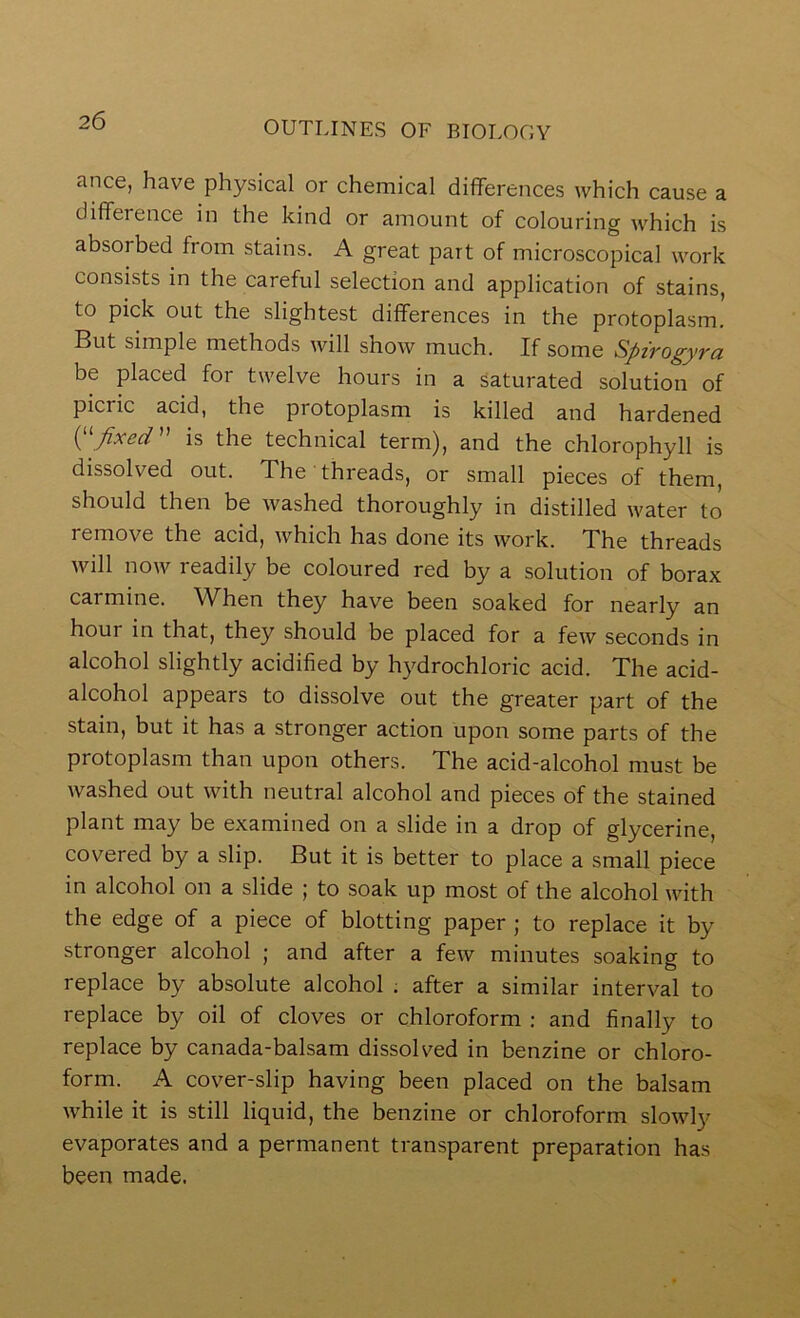 ance, have physical or chemical differences which cause a difference in the kind or amount of colouring which is absorbed from stains. A great part of microscopical work consists in the careful selection and application of stains, to pick out the slightest differences in the protoplasm. But simple methods will show much. If some Spzrogyra be placed for twelve hours in a saturated solution of picric acid, the protoplasm is killed and hardened ( fixed is the technical term), and the chlorophyll is dissolved out. The threads, or small pieces of them, should then be washed thoroughly in distilled water to remove the acid, which has done its work. The threads will now readily be coloured red by a solution of borax carmine. When they have been soaked for nearly an hour in that, they should be placed for a few seconds in alcohol slightly acidified by hydrochloric acid. The acid- alcohol appears to dissolve out the greater part of the stain, but it has a stronger action upon some parts of the protoplasm than upon others. The acid-alcohol must be washed out with neutral alcohol and pieces of the stained plant may be examined on a slide in a drop of glycerine, covered by a slip. But it is better to place a small piece in alcohol on a slide ; to soak up most of the alcohol with the edge of a piece of blotting paper ; to replace it by stronger alcohol ; and after a few minutes soaking to replace by absolute alcohol ; after a similar interval to replace by oil of cloves or chloroform : and finally to replace by canada-balsam dissolved in benzine or chloro- form. A cover-slip having been placed on the balsam while it is still liquid, the benzine or chloroform slowly evaporates and a permanent transparent preparation has been made.