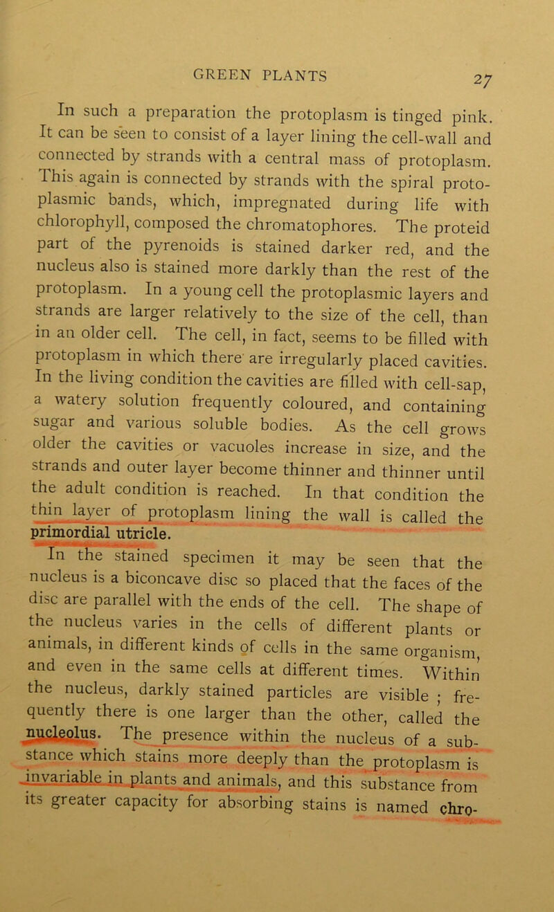 In such a preparation the protoplasm is tinged pink. It can be seen to consist of a layer lining the cell-wall and connected by strands with a central mass of protoplasm. This again is connected by strands with the spiral proto- plasmic bands, which, impregnated during life with chlorophyll, composed the chromatophores. The proteid part of the pyrenoids is stained darker red, and the nucleus also is stained more darkly than the rest of the protoplasm. In a young cell the protoplasmic layers and strands are larger relatively to the size of the cell, than in an older cell. The cell, in fact, seems to be filled with protoplasm in which there' are irregularly placed cavities. In the living condition the cavities are filled with cell-sap, a watery solution frequently coloured, and containing sugar and various soluble bodies. As the cell grows older the cavities or vacuoles increase in size, and the strands and outer layer become thinner and thinner until the adult condition is reached. In that condition the of Fotoplas the wall is called the primordial utricle. In the stained specimen it may be seen that the nucleus is a biconcave disc so placed that the faces of the disc are parallel with the ends of the cell. The shape of the nucleus varies in the cells of different plants or animals, in different kinds of cells in the same organism, and even in the same cells at different times. Within the nucleus, darkly stained particles are visible ; fre- quently there is one larger than the other, called the nasigglus. The presence within the nucleus of a sub- stance which stains more deeply than the protoplasm is TIlXMiabkiQ_plant^ and this substance from its greater capacity for absorbing stains is named chro-