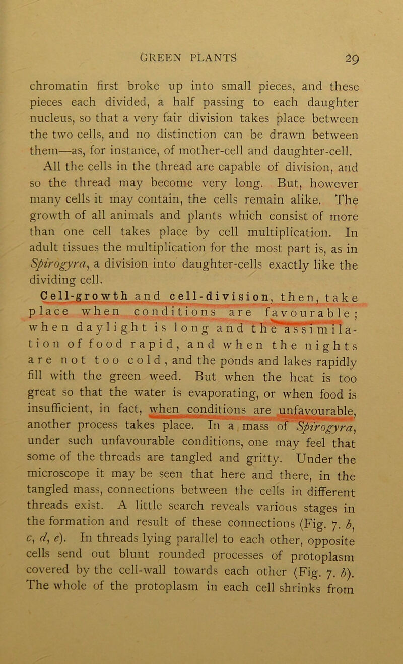 chromatin first broke up into small pieces, and these pieces each divided, a half passing to each daughter nucleus, so that a very fair division takes place between the two cells, and no distinction can be drawn between them—as, for instance, of mother-cell and daughter-cell. All the cells in the thread are capable of division, and so the thread may become very long. But, however many cells it may contain, the cells remain alike. The growth of all animals and plants which consist of more than one cell takes place by cell multiplication. In adult tissues the multiplication for the most part is, as in Spirogyra^ a division into’ daughter-cells exactly like the dividing cell. Cell-Growth and c^e 11 -division, then, take place when conditions \re favourable; when daylight is long and t h ^a s s rniTl a - tion of food rapid, and when the nights are not too cold, and the ponds and lakes rapidly fill with the green weed. But when the heat is too great so that the water is evaporating, or when food is insufficient, in fact, when conditions are unfavourable, another process takes place. In a mass of ' Spt'rogyra, under such unfavourable conditions, one may feel that some of the threads are tangled and gritty. Under the microscope it may be seen that here and there, in the tangled mass, connections between the cells in different threads exist. A little search reveals various stages in the formation and result of these connections (Fig. 7. 3, c, e). In threads lying parallel to each other, opposite cells send out blunt rounded processes of protoplasm covered by the cell-wall towards each other (Fig. 7. b). The whole of the protoplasm in each cell shrinks from