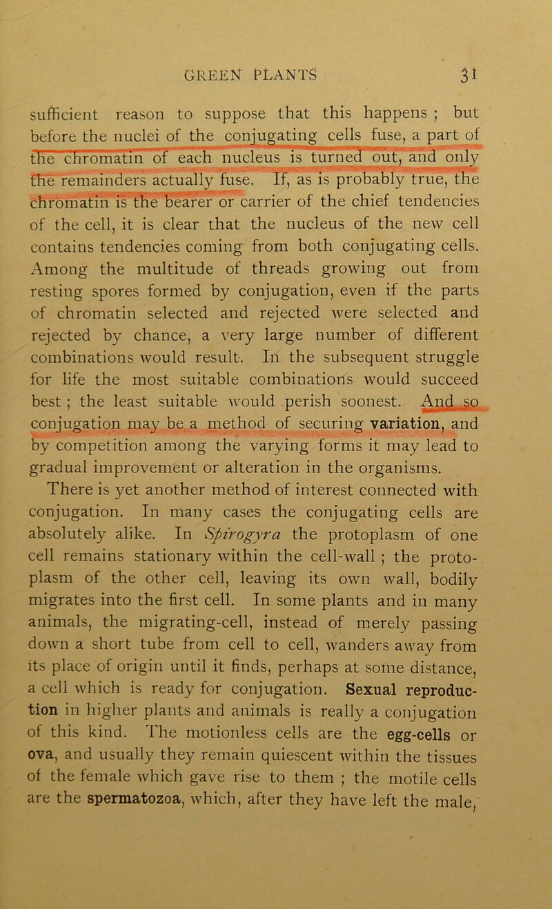 sufficient reason to suppose that this happens ; but before the nuclei of the conjugating cells fuse, a part^f the chromatin of each nucleus is turned out^a^ fhe remainders actually fuse. If, as is probably true, the chrbniatin is^e bearer or carrier of the chief tendencies of the cell, it is clear that the nucleus of the new cell contains tendencies coming from both conjugating cells. Among the multitude of threads growing out from resting spores formed by conjugation, even if the parts of chromatin selected and rejected were selected and rejected by chance, a very large number of different combinations would result. In the subsequent struggle for life the most suitable combinations would succeed best; the least suitable would perish soonest. Apd so conjugation may be, a method of securing variation, and by competition among the varying forms it may lead to gradual improvement or alteration in the organisms. There is yet another method of interest connected with conjugation. In many cases the conjugating cells are absolutely alike. In Spirogyra the protoplasm of one cell remains stationary within the cell-wall ; the proto- plasm of the other cell, leaving its own wall, bodily migrates into the first cell. In some plants and in many animals, the migrating-cell, instead of merely passing down a short tube from cell to cell, wanders away from its place of origin until it finds, perhaps at some distance, a cell which is ready for conjugation. Sexual reproduc- tion in higher plants and animals is really a conjugation of this kind. The motionless cells are the egg-cells or ova, and usually they remain quiescent within the tissues of the female which gave rise to them ; the motile cells are the spermatozoa, which, after they have left the male,