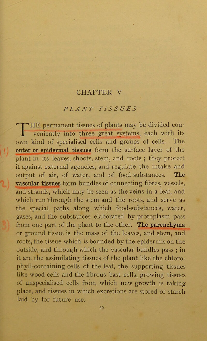 PLANT TISSUES The permanent tissues of plants may be divided con- veniently into three great ^sterns, each with its own kind of specialised cells and groups of cells. The outer or epidermal tissues form the surface layer of the plant in its leaves, shoots,' stem, and roots ; they protect it against external agencies, and regulate the intake and output of air, of water, and of food-substances. The yascu^r tissue^ form bundles of connecting fibres, vessels, and strands, which may be seen as the veins in a leaf, and which run through the stem and the roots, and serve as the special paths along which food-substances, water, gases, and the substances elaborated by protoplasm pass from one part of the plant to the other. The iiarejnch^ma or ground tissue is the mass of the leaves, and stem, and roots, the tissue which is bounded by the epidermis on the outside, and through which the vascular bundles pass ; in it are the assimilating tissues of the plant like the chloro- phyll-containing cells of the leaf, the supporting tissues like wood cells and the fibrous bast cells, growing tissues of unspecialised cells from which new growth is taking place, and tissues in which excretions are stored or starch laid by for future use.