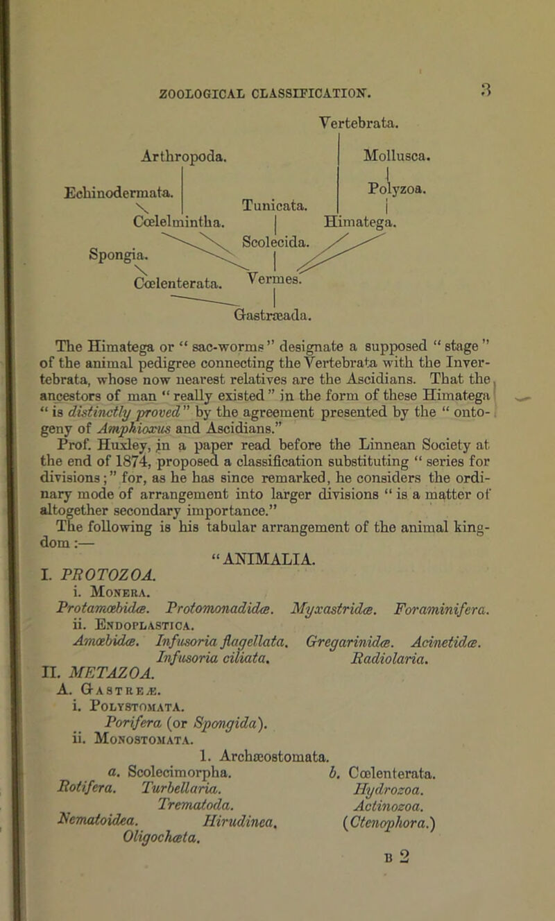 Vertebrata. Artliropoda. Mollusca. Echinodermata. \ Tunicata. Pol}rzoa. Ccelelmintha. Himatega. Spongia. \ Coelenterata. Scolecid Vermesi Gastrceada. The Himatega or “ sac-worms ” designate a supposed “ stage ” of the animal pedigree connecting the Vertebrata with the Inver- tebrata, whose now nearest relatives are the Ascidians. That the ancestors of man “ really existed ” in the form of these Himatega “ is distinctly proved ” by the agreement presented by the “ onto- geny of Amphioxus and Ascidians.” Prof. Huxley, in a paper read before the Linnean Society at the end of 1874, proposed a classification substituting “ series for divisions;” for, as he has since remarked, he considers the ordi- nary mode of arrangement into larger divisions “ is a matter of altogether secondary importance.” The following is his tabular arrangement of the animal king- I. PROTOZOA. i. Monera. Protamadndce. Protomonadidce. Myxastridce. Foraminifera. ii. Endoplastica. Amoebida. Infusoria flagellata. Gregarinida. Acinetidm. Infusoria ciliata. Radiolaria. II. METAZOA. A. Gastreaj. i. Polystomata. Porifera (or Spmgida). ii. Monostomata. dom;— “ANIMALIA. 1. Archceostomata. a. Scolecimorpha. < Rotifera. Turbellaria. Trematoda. R’cmaioidea. Hirudinea, Oligochceta. b. Coelenterata. Ilydrozoa. Actinozoa. (Ctcnophora.)