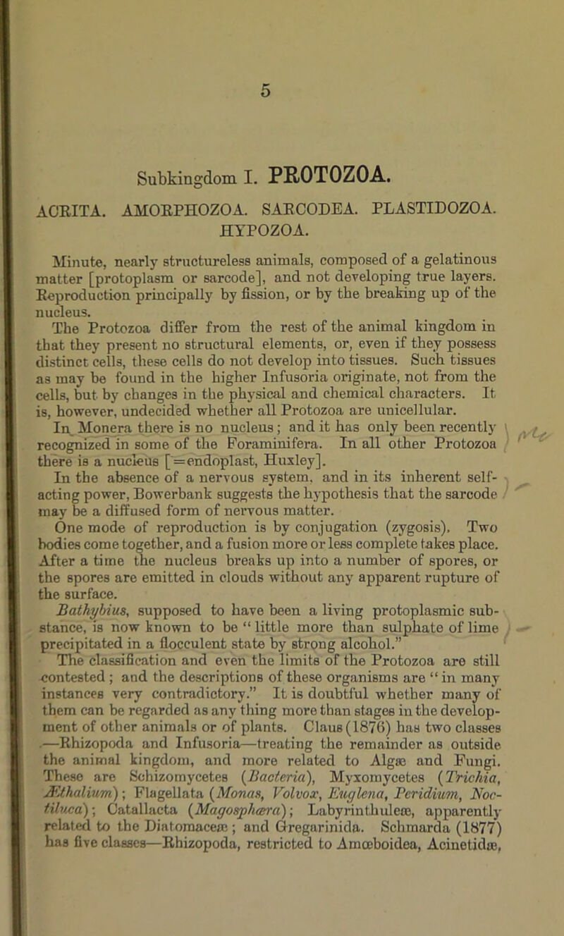 Subkingdom I. PROTOZOA. ACEITA. AMOEPIIOZOA. SAECODEA. PLASTIDOZOA. HYPOZOA. Minute, nearly structureless animals, composed of a gelatinous matter [protoplasm or sarcode], and not developing true layers. Beproduction principally by fission, or by tbe breaking up of the nucleus. The Protozoa differ from the rest of the animal kingdom in that they present no structural elements, or, even if they possess distinct cells, these cells do not develop into tissues. Such tissues as may be found in the higher Infusoria originate, not from the cells, but by changes in the physical and chemical characters. It is, however, undecided whether all Protozoa are unicellular. In Monera there is no nucleus; and it has only been recently \ y t recognized in some of the Foraminifera. In all other Protozoa there is a nucleus [=endoplast, Huxley], In the absence of a nervous system, and in its inherent self- acting power, Bowerbank suggests the hypothesis that the sarcode may be a diffused form of nervous matter. One mode of reproduction is by conjugation (zygosis). Two bodies come together, and a fusion more or less complete takes place. After a time the nucleus breaks up into a number of spores, or the spores are emitted in clouds without any apparent rupture of the surface. Bathybius, supposed to have been a living protoplasmic sub- stance, is now known to be “little more than sulphate of lime precipitated in a floceulent state by strong alcohol.” The classification and even the limits of the Protozoa are still contested ; and the descriptions of these organisms are “ in many instances very contradictory.” It is doubtful whether many of them can be regarded as any thing more than stages in the develop- ment of other animals or of plants. Claus(1876) has two classes •—Ehizopoda and Infusoria—treating the remainder as outside the animal kingdom, and more related to Algae and Fungi. These are Schizomycetes {Bacteria), Myxomycetes (Trichia, Mthalivm); Flagellata {Monas, Volvox, Euc/lena, Pcridium, Noc- tiluca); Catallacta (Magosphcera); Labyrinthulece, apparently related to the Diatomacetn; and Gregarinida. Schmarda (1877) has five classes—Ehizopoda, restricted to Amceboidea, Acinetidte,